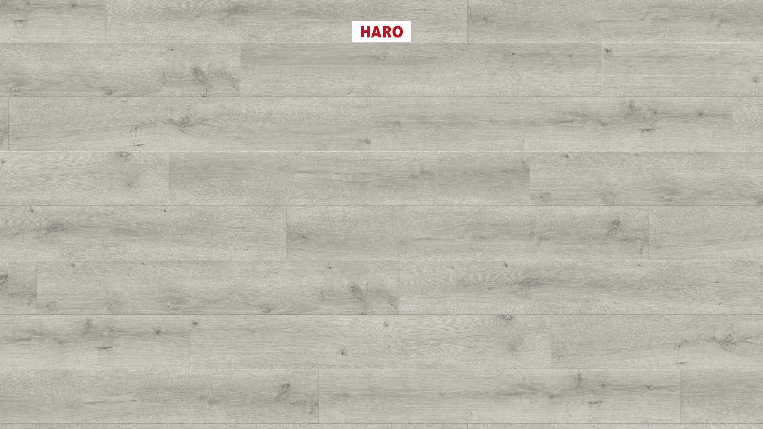 HARO Laminate Floor Special Edition NKL32 Plank 1-Strip 4V Oak Breda Light Grey* textured Silent Pro Top Connect