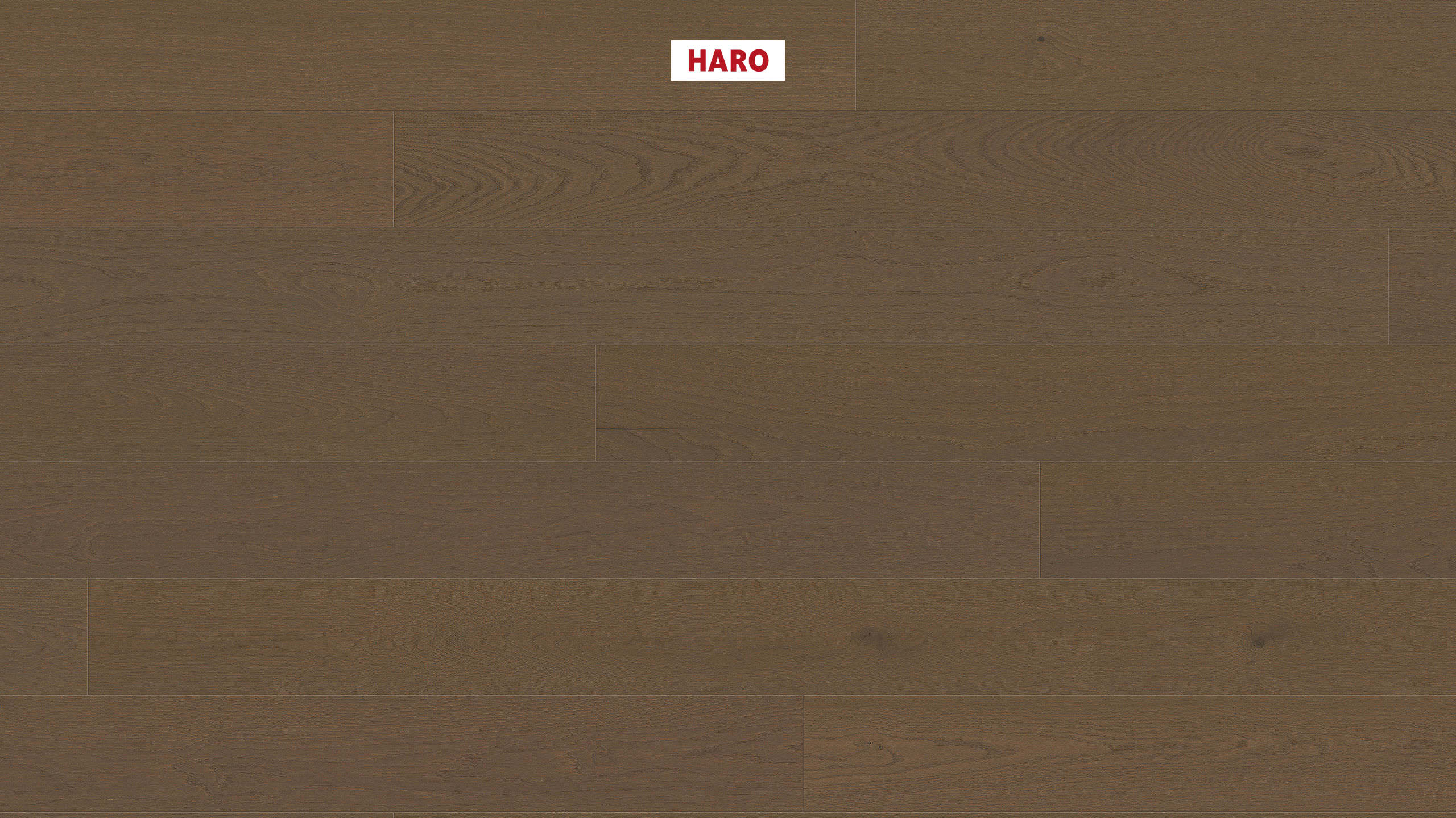 HARO PARQUET 4000 Plank 1-Strip 180 4V Oak greige Markant brushed naturaDur Top Connect