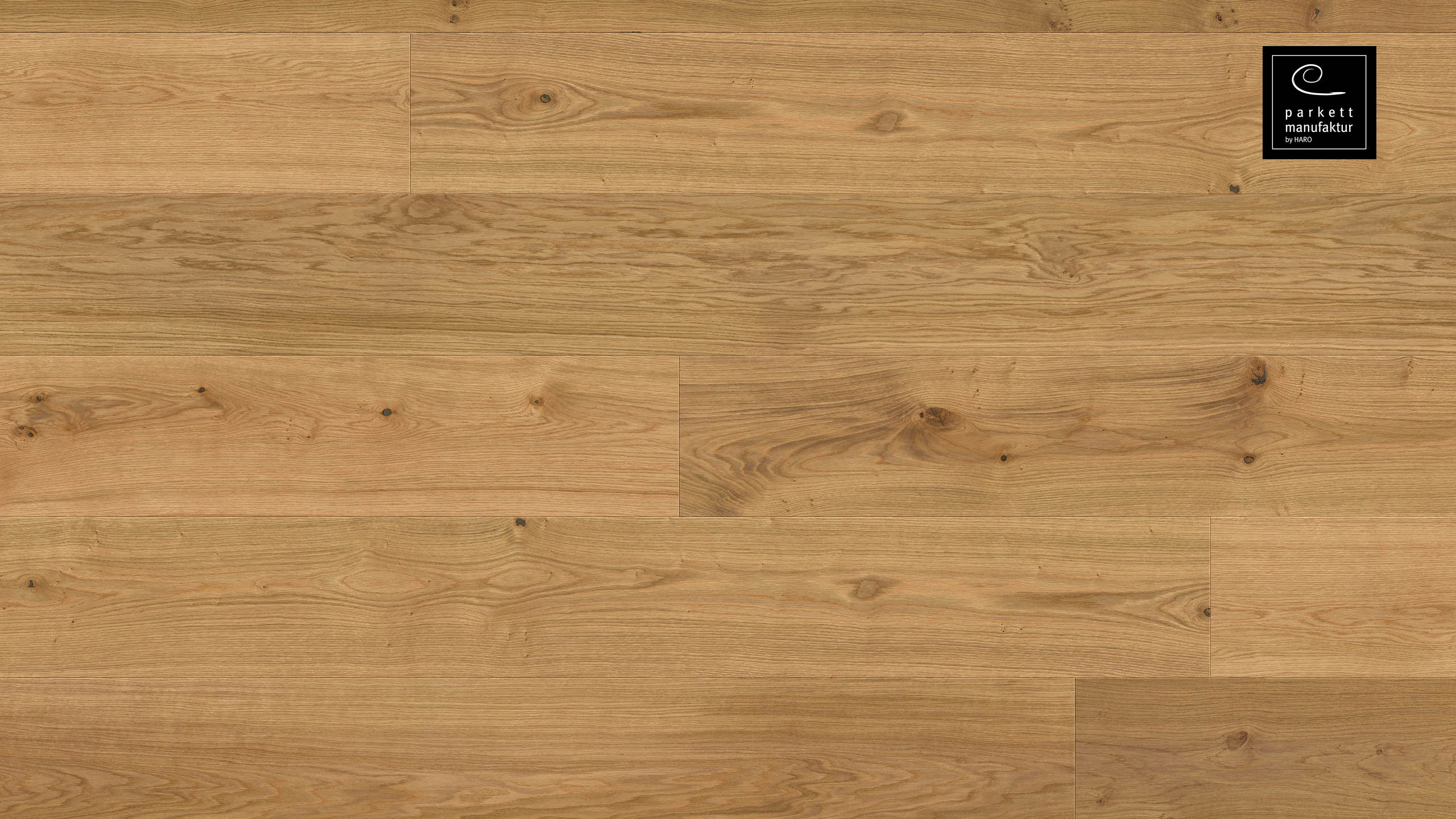 parkettmanufaktur by HARO 6000 Plank 1-Strip XL 4V Oak Expressiv brushed oleovera Tongue and Groove