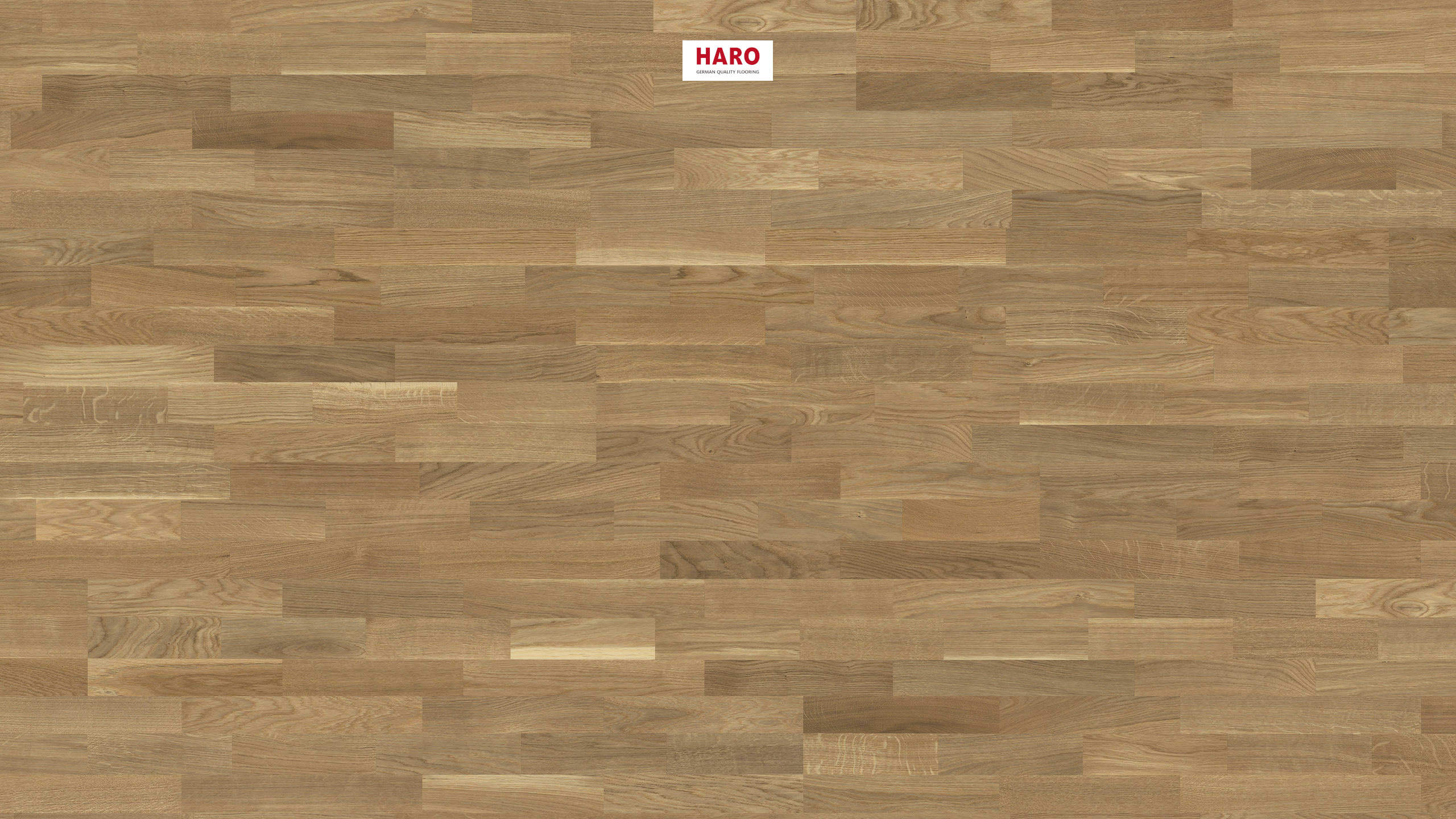 HARO PARQUET 2500 Longstrip Oak Lively brushed matt prefinished Top Connect