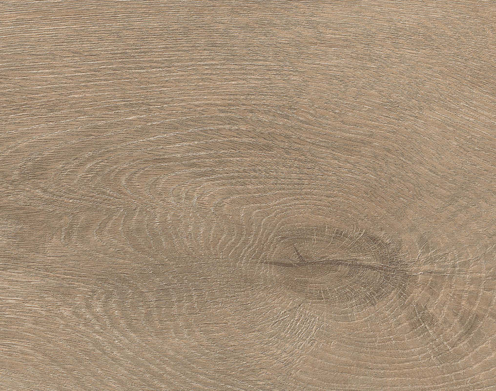 HARO Suelo laminado TRITTY 200 Aqua 1-lama 4V Roble Veneto crema* authentic mate Silent Pro Top Connect