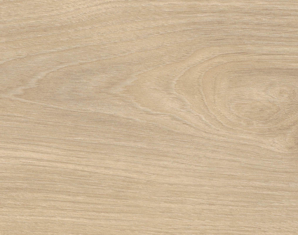 HARO Suelo laminado TRITTY 100 1-lama 4V Arce sacarino Vario* authentic soft Top Connect