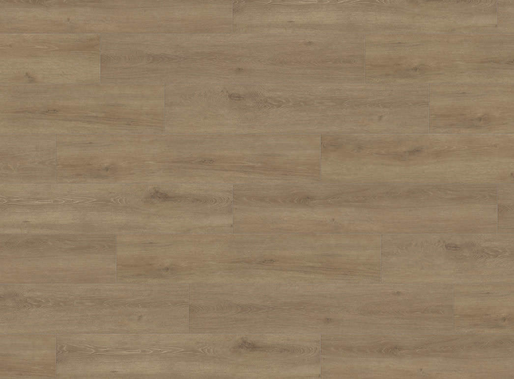 Imagen del producto 2 Campus 4V Roble Veneto crema* authentic mate