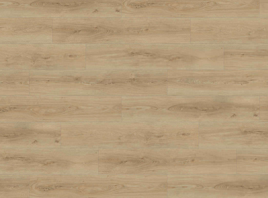 Imagen del producto 2 1-lama 4V Roble Sheffield puro* authentic