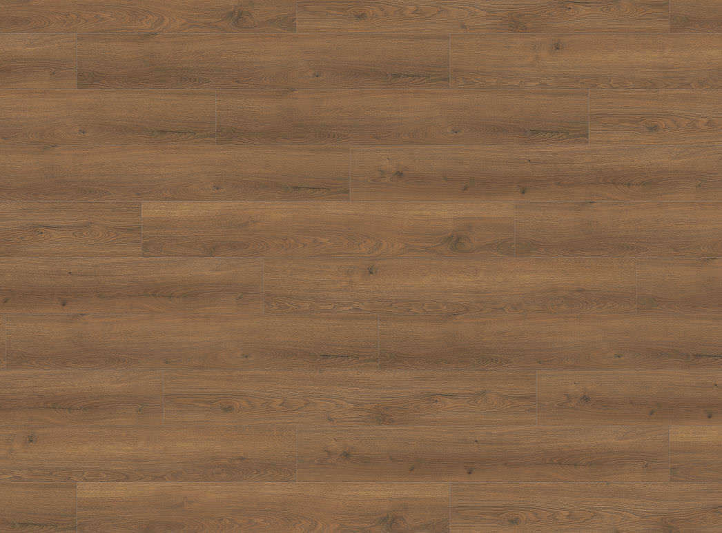 Imagen del producto 3 Campus 4V Roble Flavia ahumado* authentic