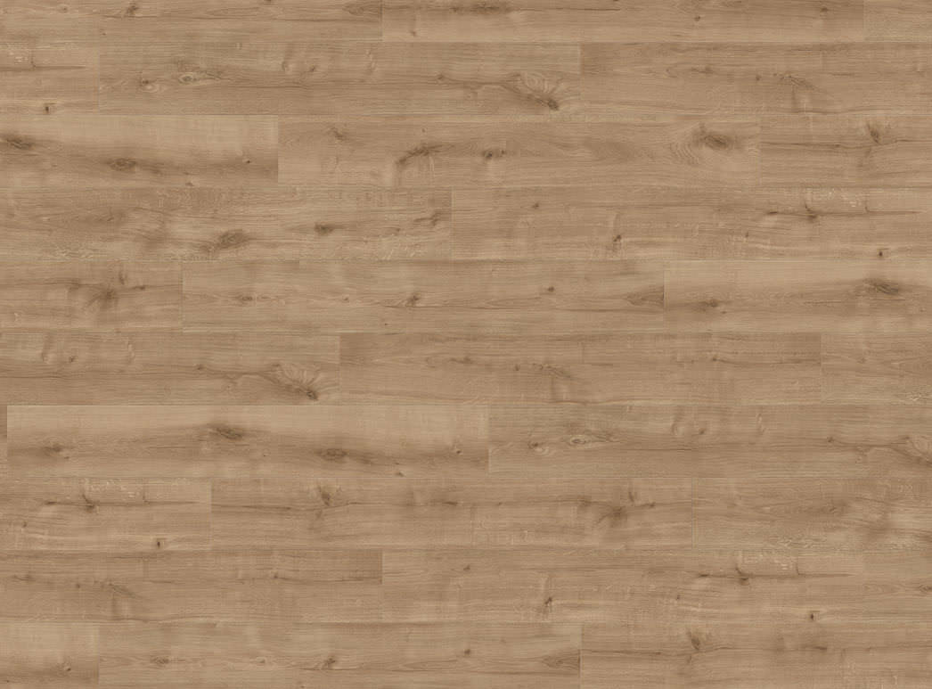 HARO Suelo laminado Edición especial NKL32 1-lama 4V Roble Calla natur* cepillado Top Connect