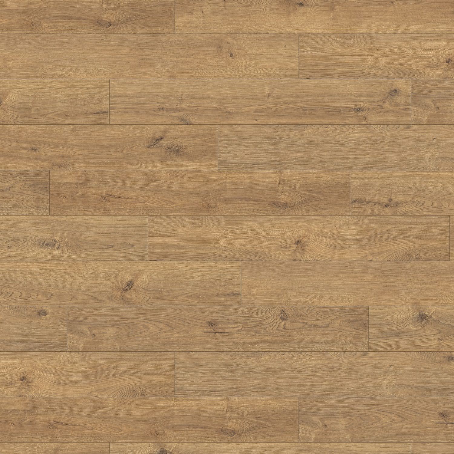 HARO Suelo laminado TRITTY 100 1-lama 4V Roble Portland natur* authentic Silent CT Top Connect