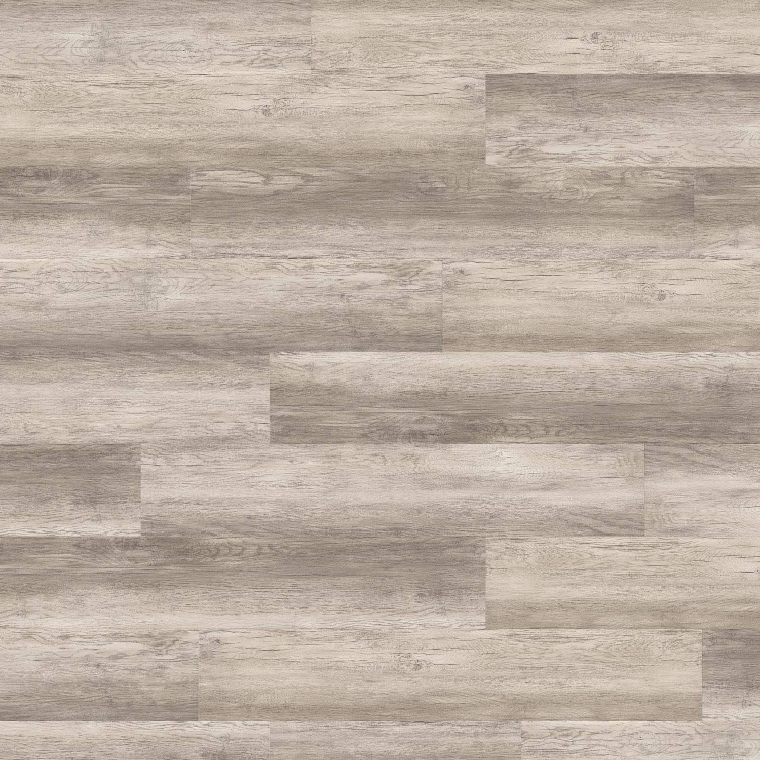 DISANO by HARO Saphir 1-lama 4VM Roble Country gris* rustikal cepillado Top Connect