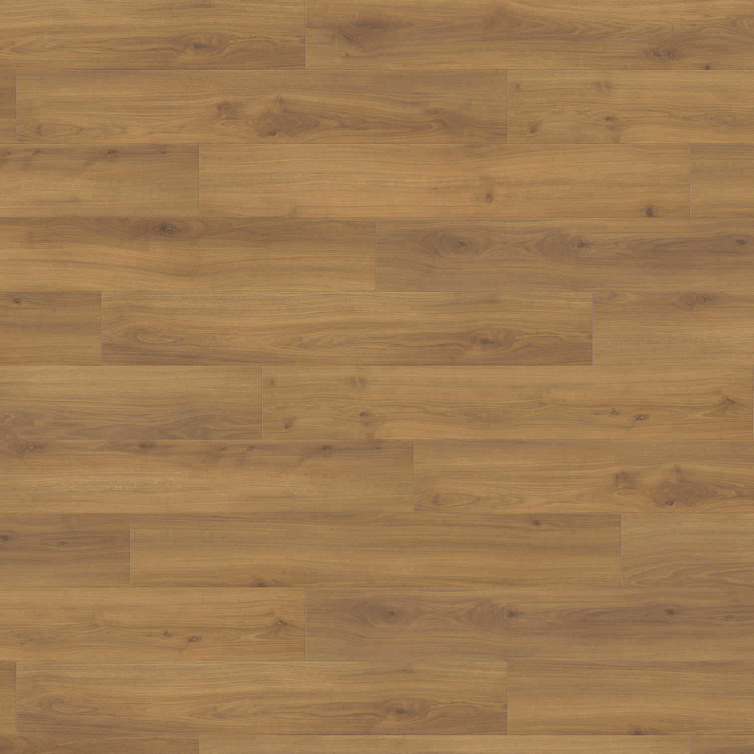 HARO Suelo laminado TRITTY 200 Aqua 1-lama 4V Roble Emilia miel* authentic soft Silent Pro Top Connect