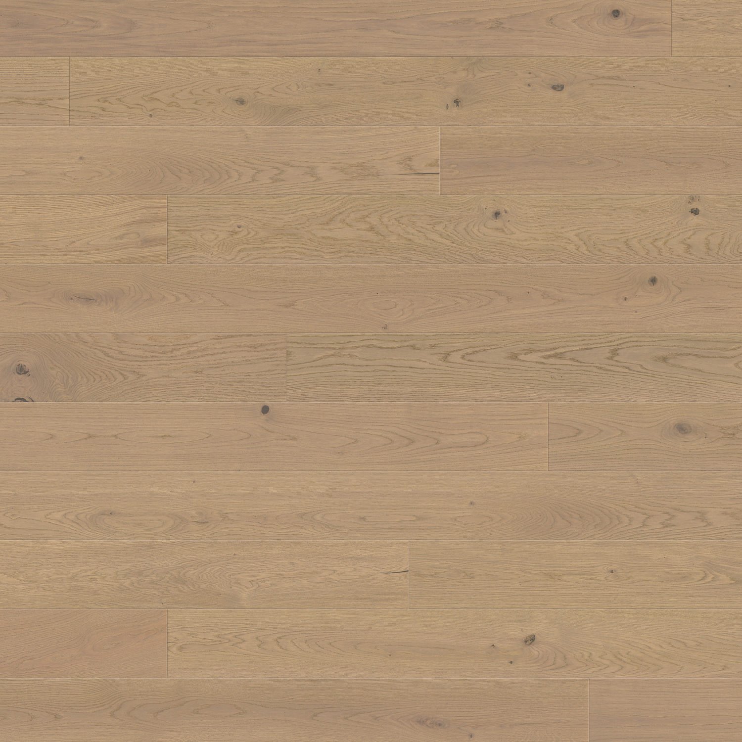 HARO PARQUET 4000 1-lama 180 4V Roble gris arena Sauvage cepillado naturaDur Top Connect