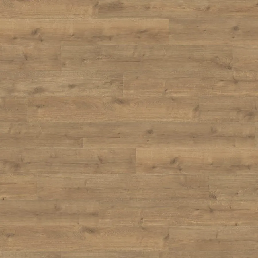 Produktbild HARO Suelo laminado TRITTY 90 1-lama 4V Roble Savona natur* soft mate Top Connect