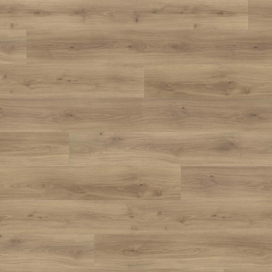Produktbild HARO Suelo laminado TRITTY 200 Aqua Gran Via 4V Roble Emilia puro* authentic soft Top Connect