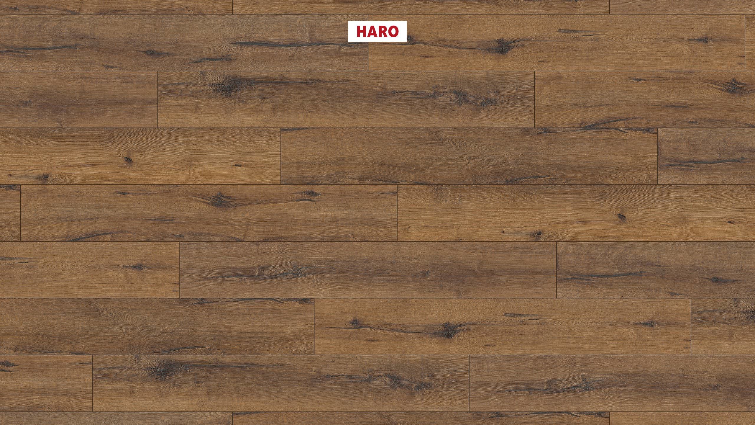 HARO Suelo laminado TRITTY 100 1-lama 4V Roble italica ahumado* authentic Top Connect