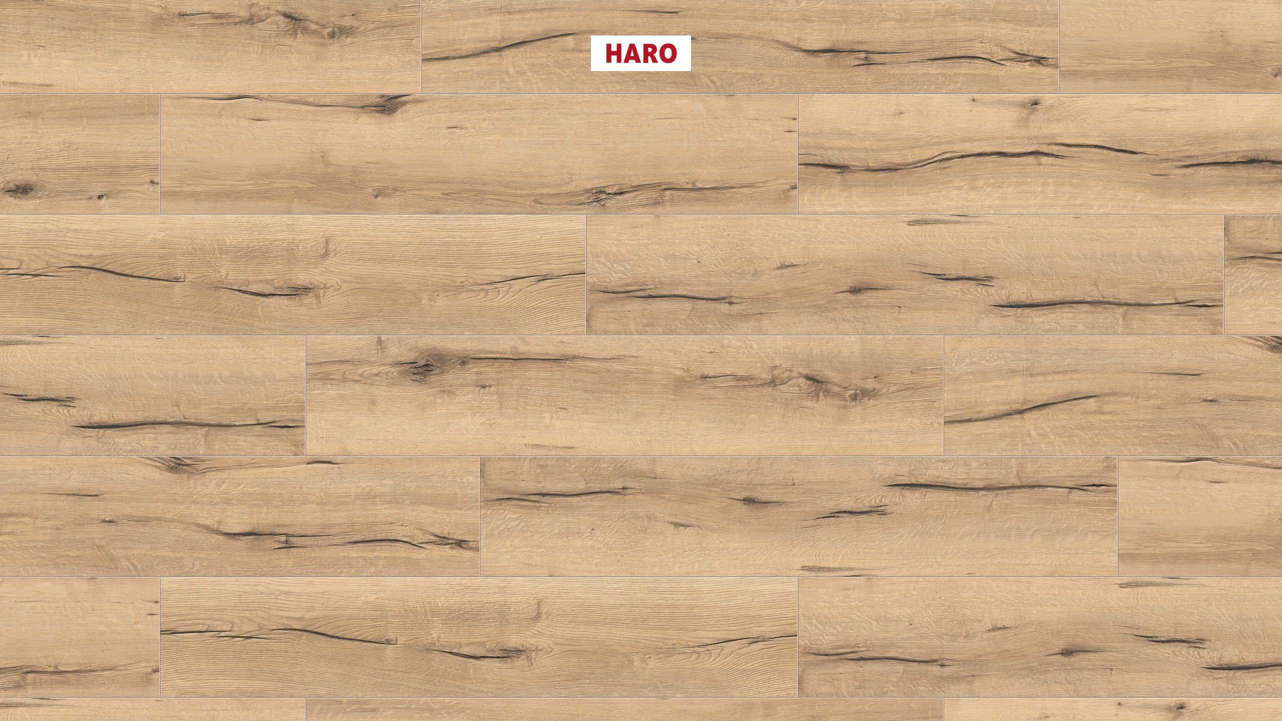 HARO Suelo laminado TRITTY 100 Campus 4V Roble italica creme* authentic Top Connect