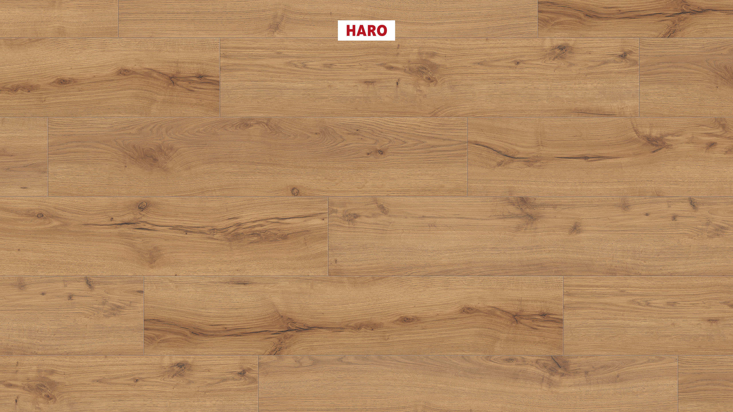HARO Suelo laminado TRITTY 100 Campus 4V Roble Alpino natur* authentic mate Top Connect