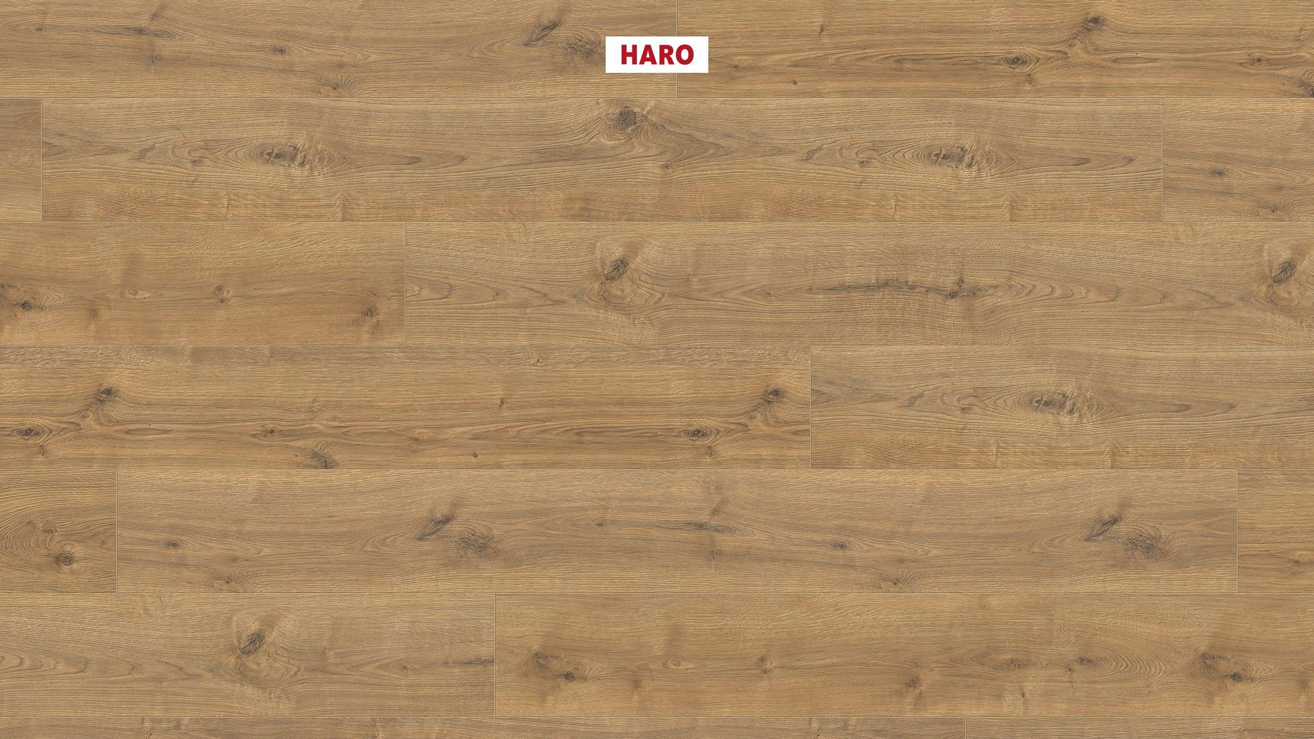 HARO Suelo laminado TRITTY 100 Gran Via 4V Roble Portland natur* authentic Silent Pro Top Connect