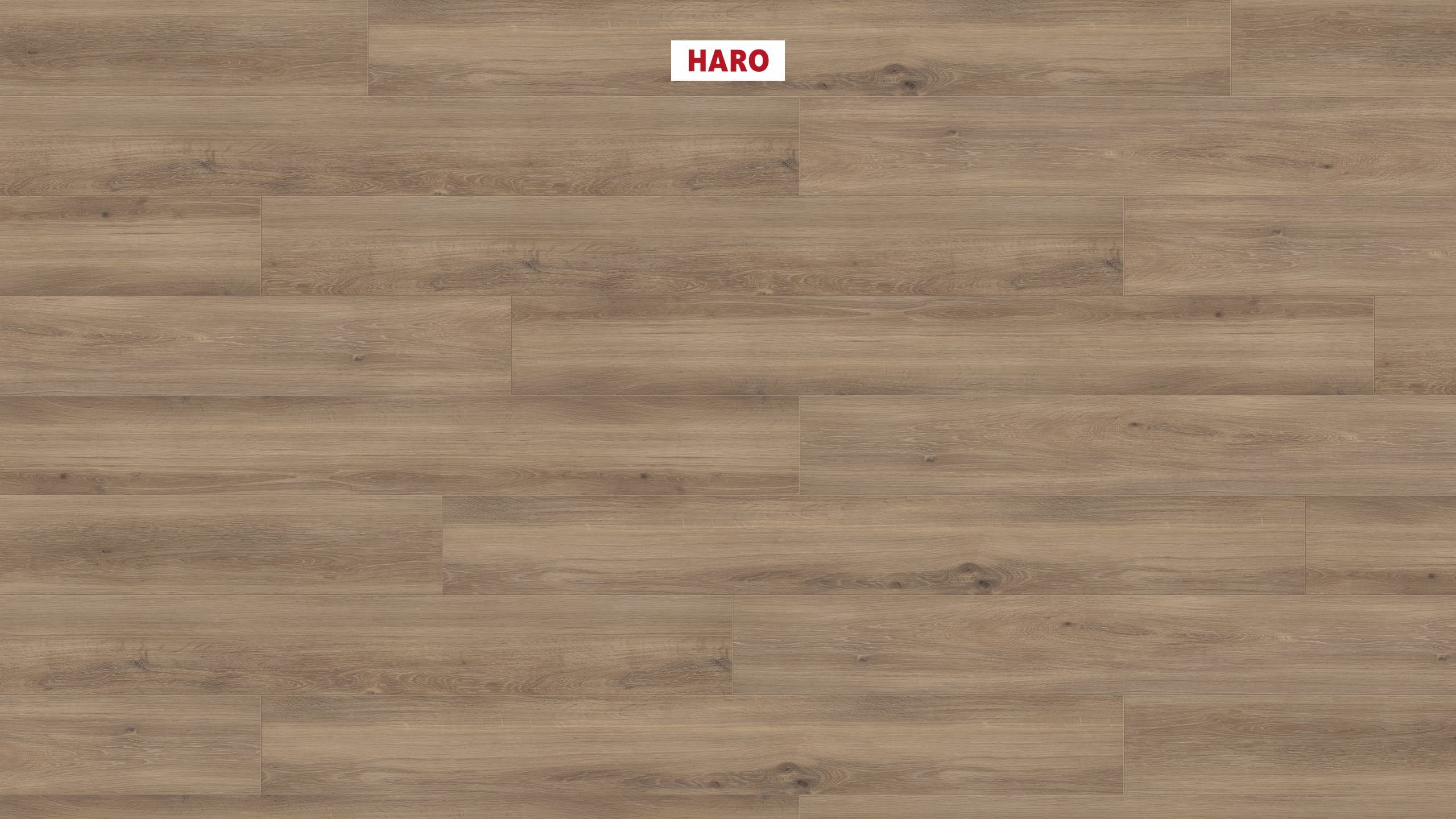 DISANO by HARO ClassicAqua 1-lama XL 4V Roble tabaco* cepillado Top Connect