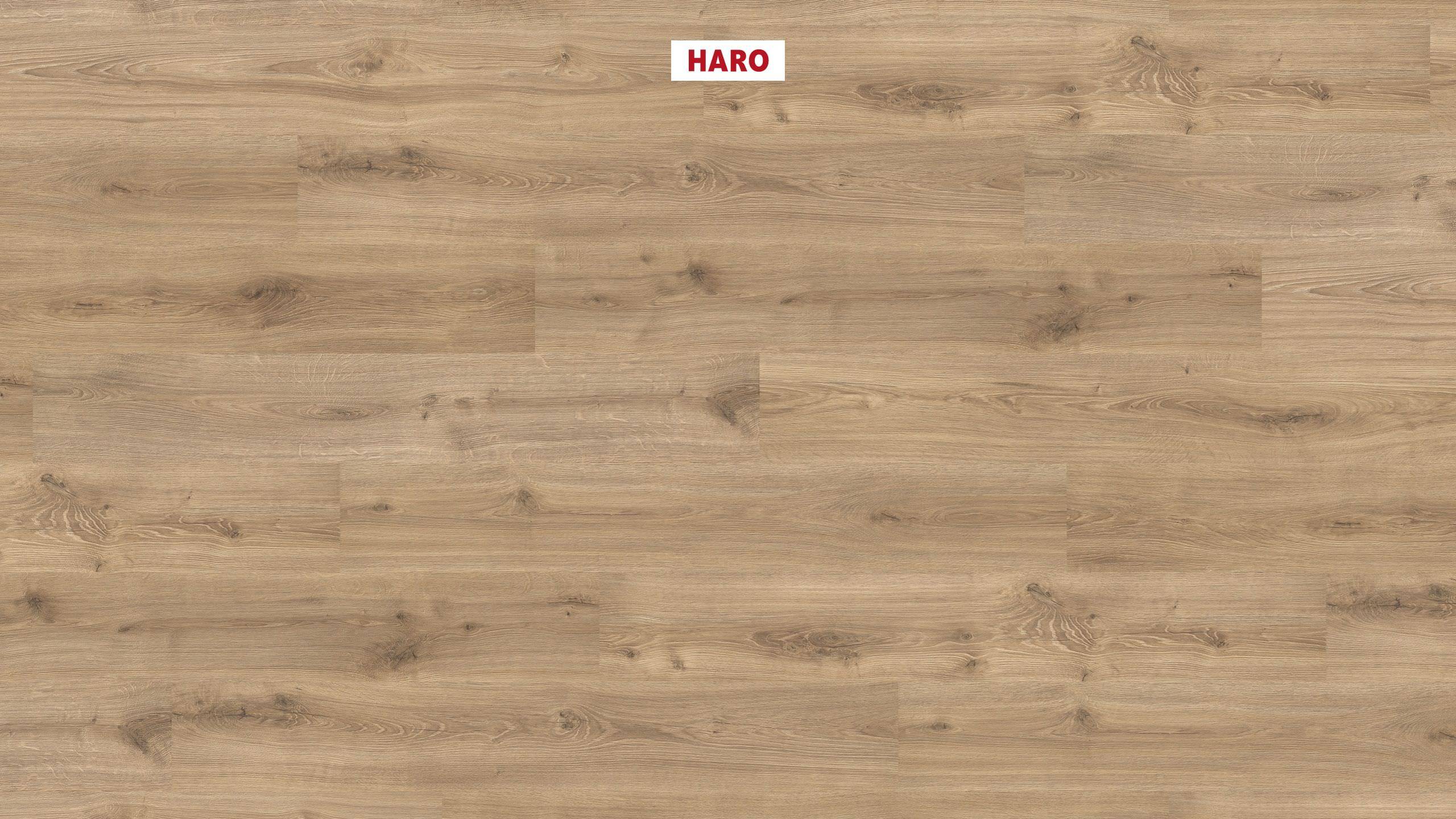 HARO Suelo laminado Edición especial NKL31 1-lama Roble Olbia* soft mate Lock plus