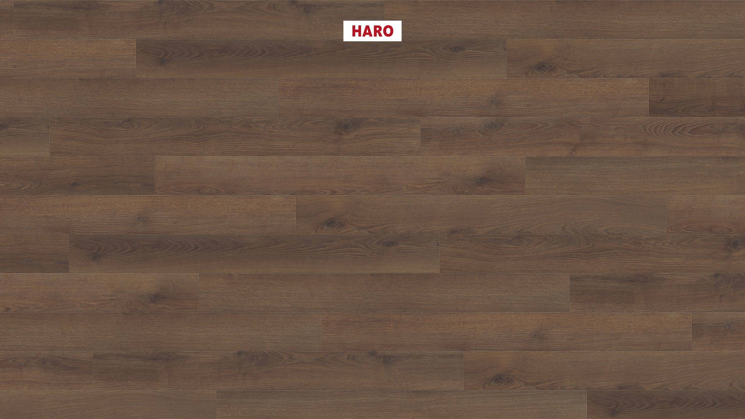 HARO Suelo laminado TRITTY 100 Loft 4V Roble Contura ahumado* authentic Top Connect