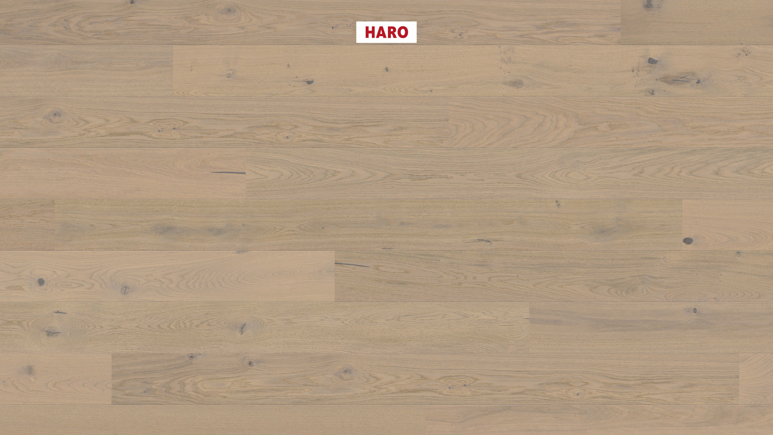 HARO PARQUET 2500 1-lama 180 2V Roble gris arena Universal cepillado naturaLin plus Top Connect