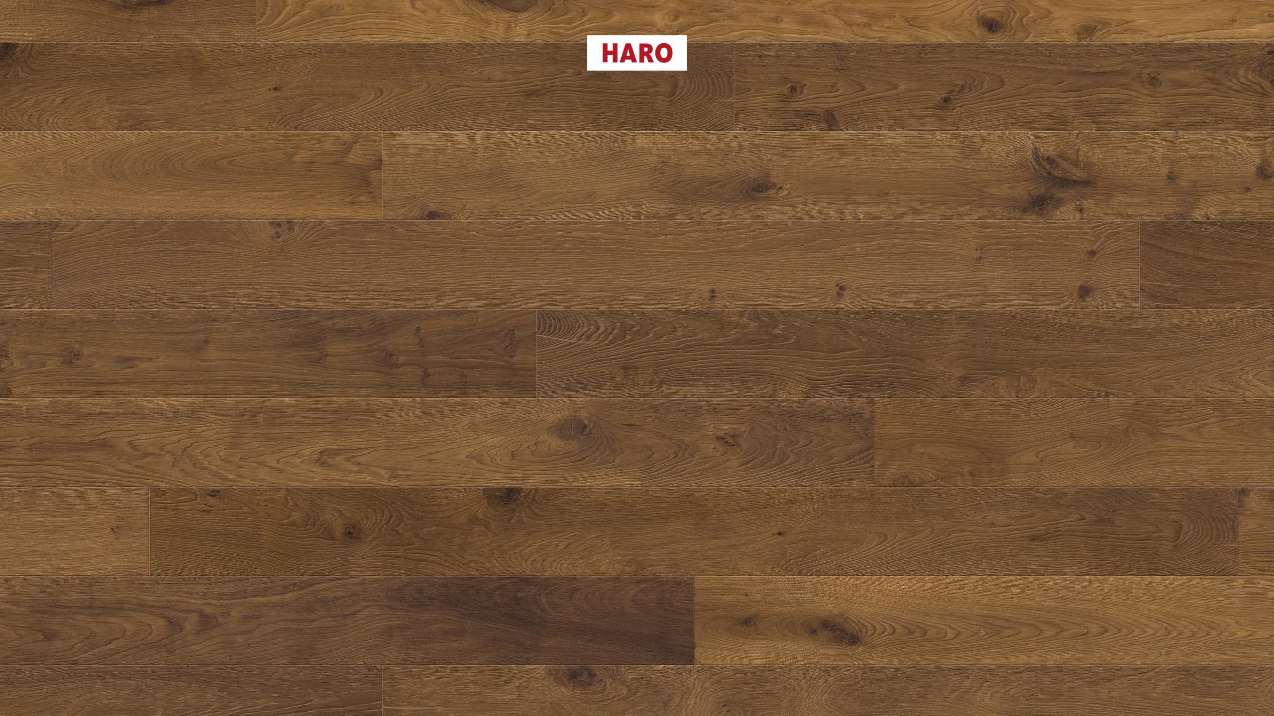 HARO Professional PARQUET 4000 1-lama 4V Robinia-moca rustico retro cepillado naturaLin plus Top Connect