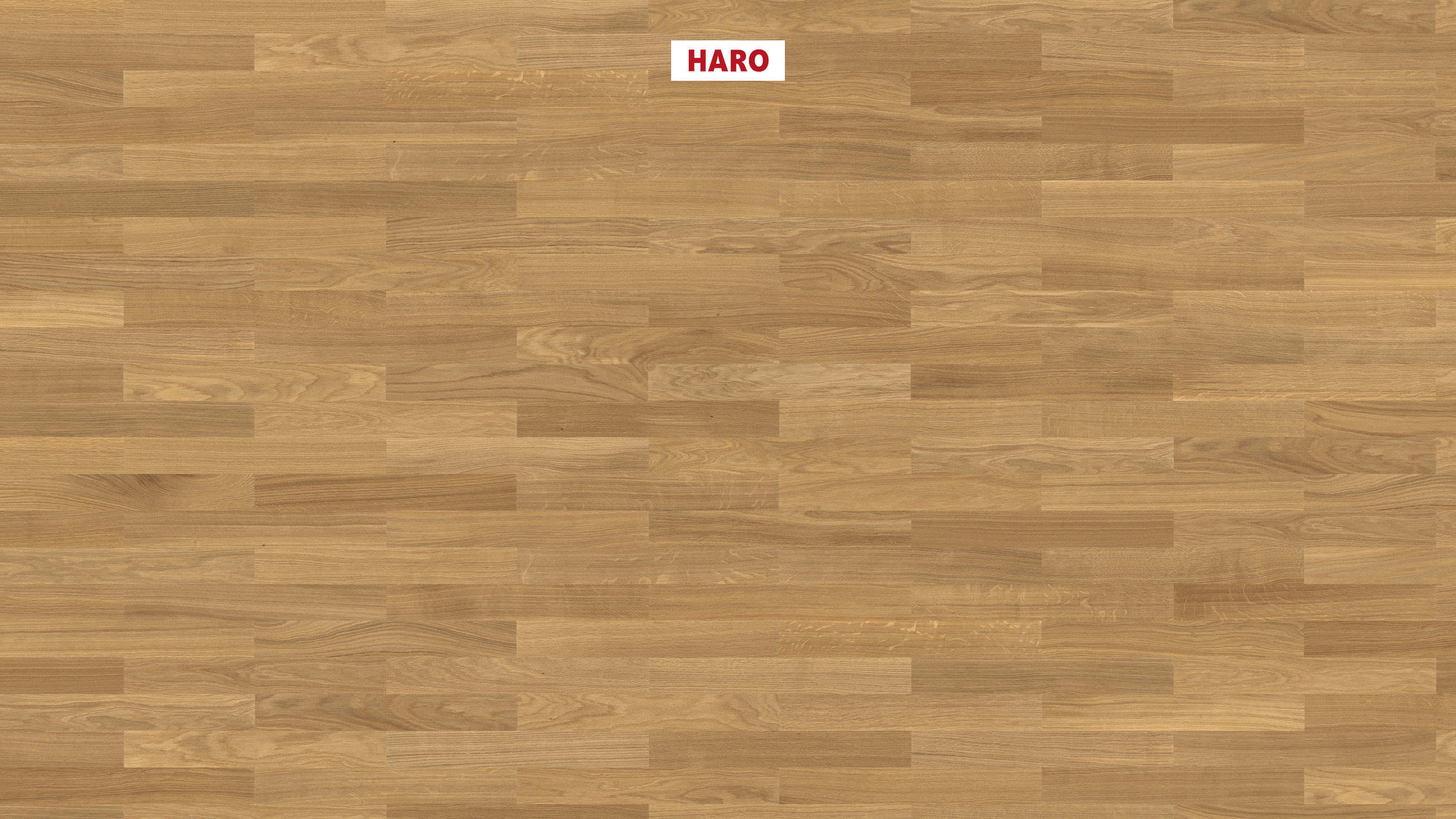 HARO PARQUET 4000 Lama Allegro Roble invisible Trend cepillado naturaLin plus Ranura & lengüeta