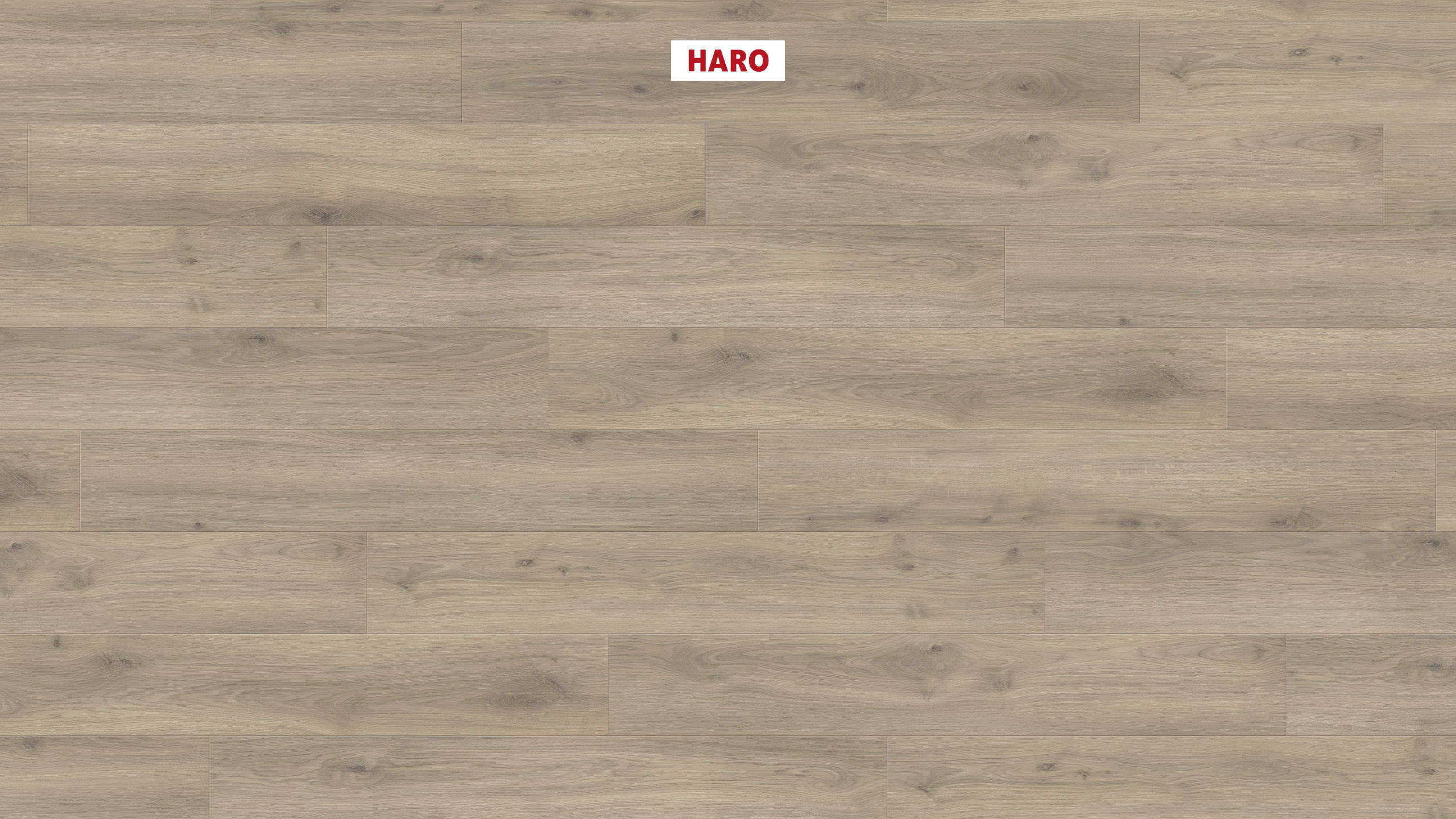 HARO Suelo laminado TRITTY 200 Aqua 1-lama 4V Roble Emilia marrón gris* authentic soft Top Connect