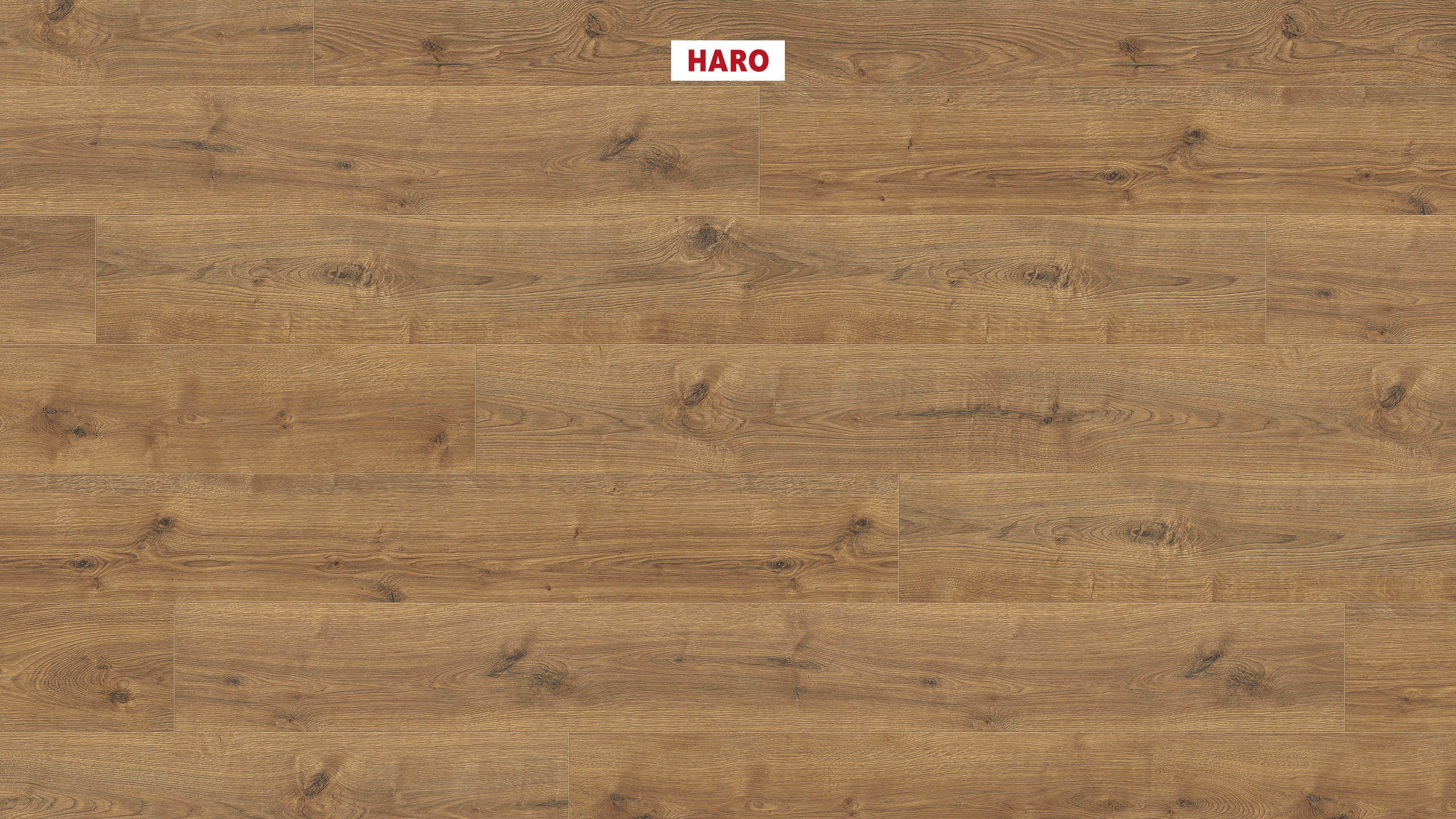 HARO Suelo laminado TRITTY 200 Aqua Gran Via 4V Roble Portland natur* authentic Silent CT Top Connect