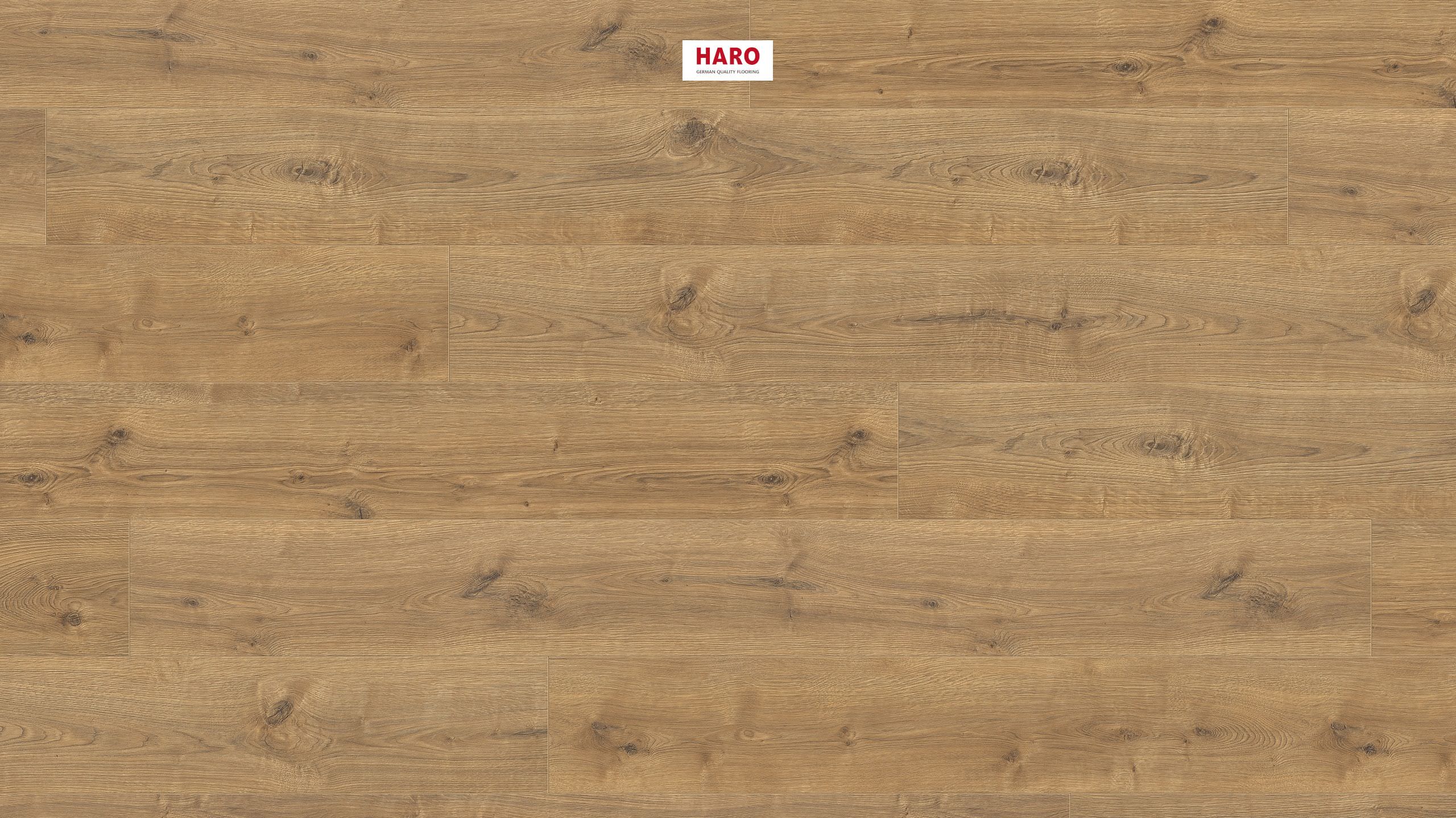 HARO Suelo laminado TRITTY 200 Aqua Gran Via 4V Roble Portland natur* authentic Silent CT Top Connect