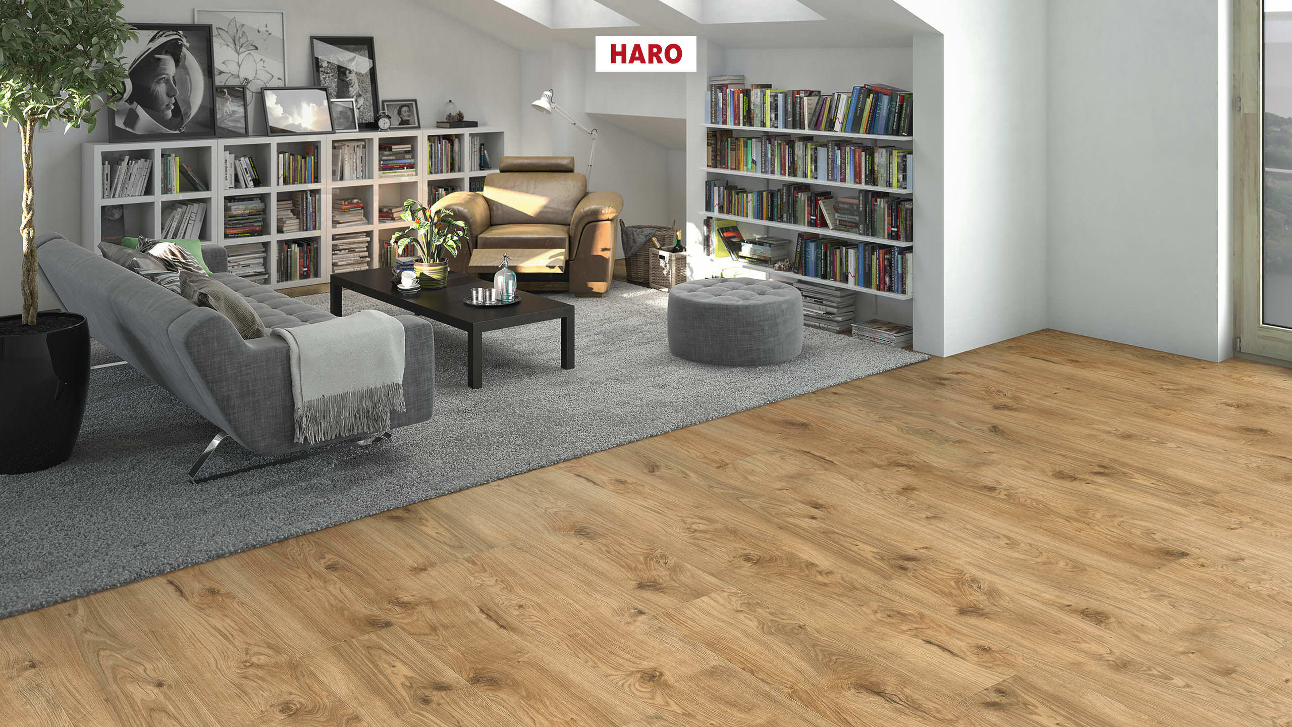 DISANO by HARO LifeAqua 1-lama XL 4V Roble Phoenix* cepillado Top Connect