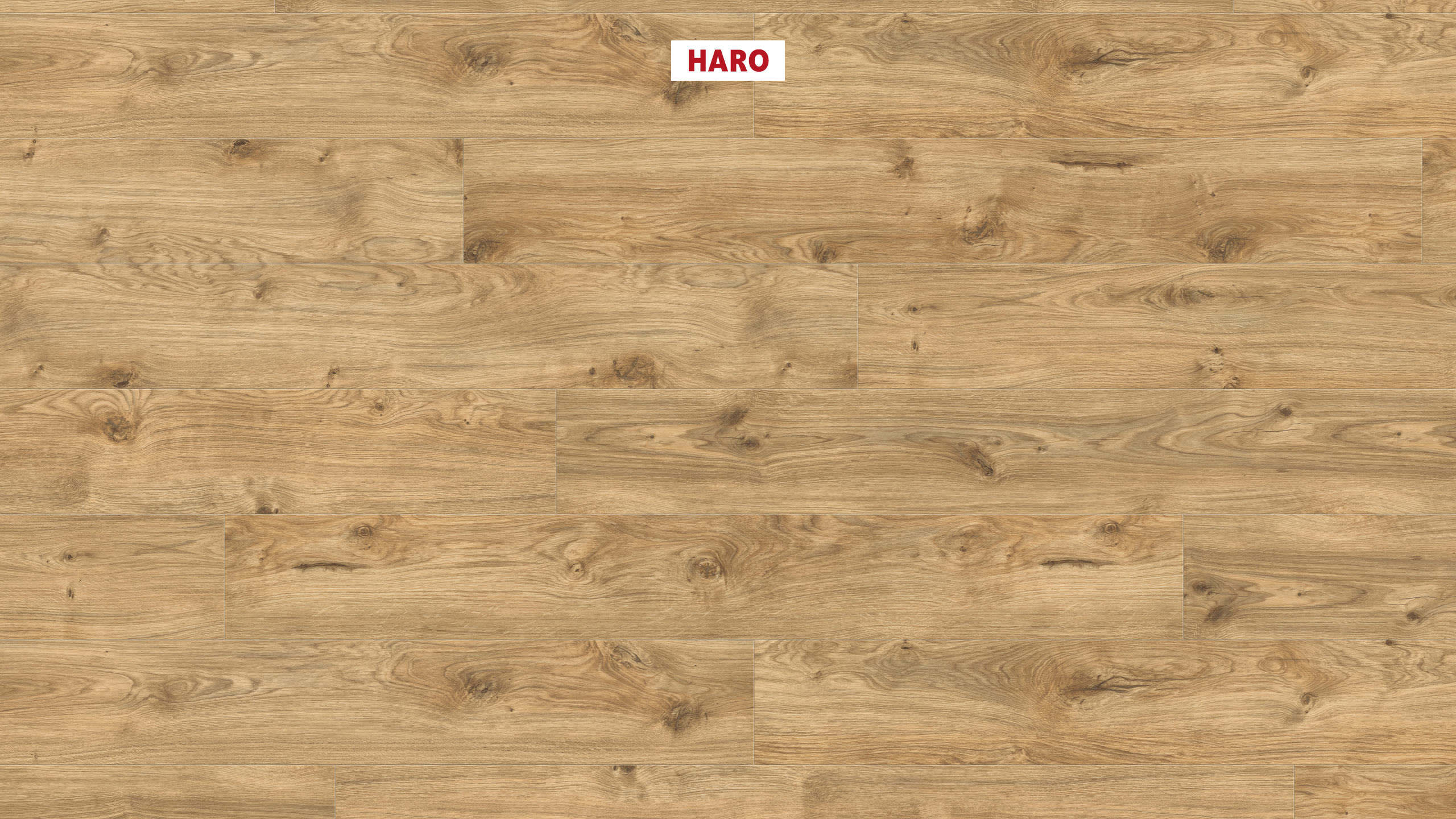 DISANO by HARO LifeAqua 1-lama XL 4V Roble Phoenix* cepillado Top Connect