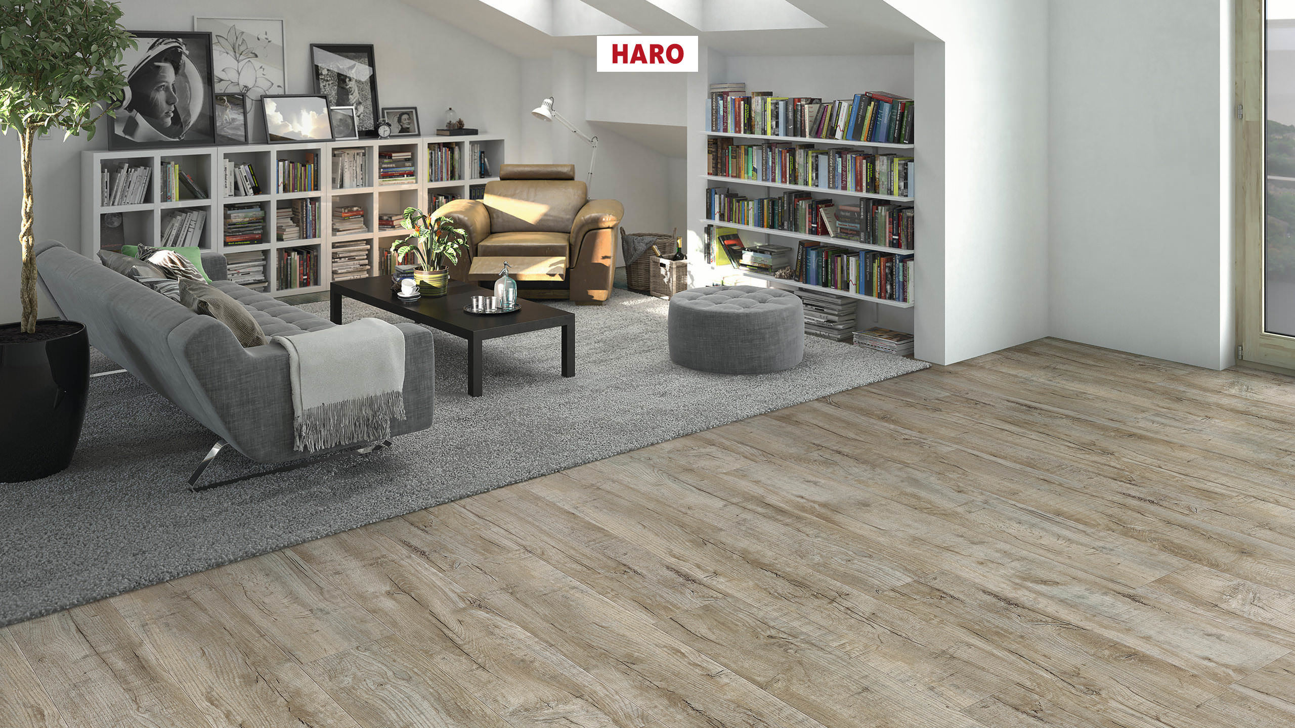 DISANO by HARO LifeAqua 1-lama XL 4V Roble Cardiff blanco* cepillado Top Connect