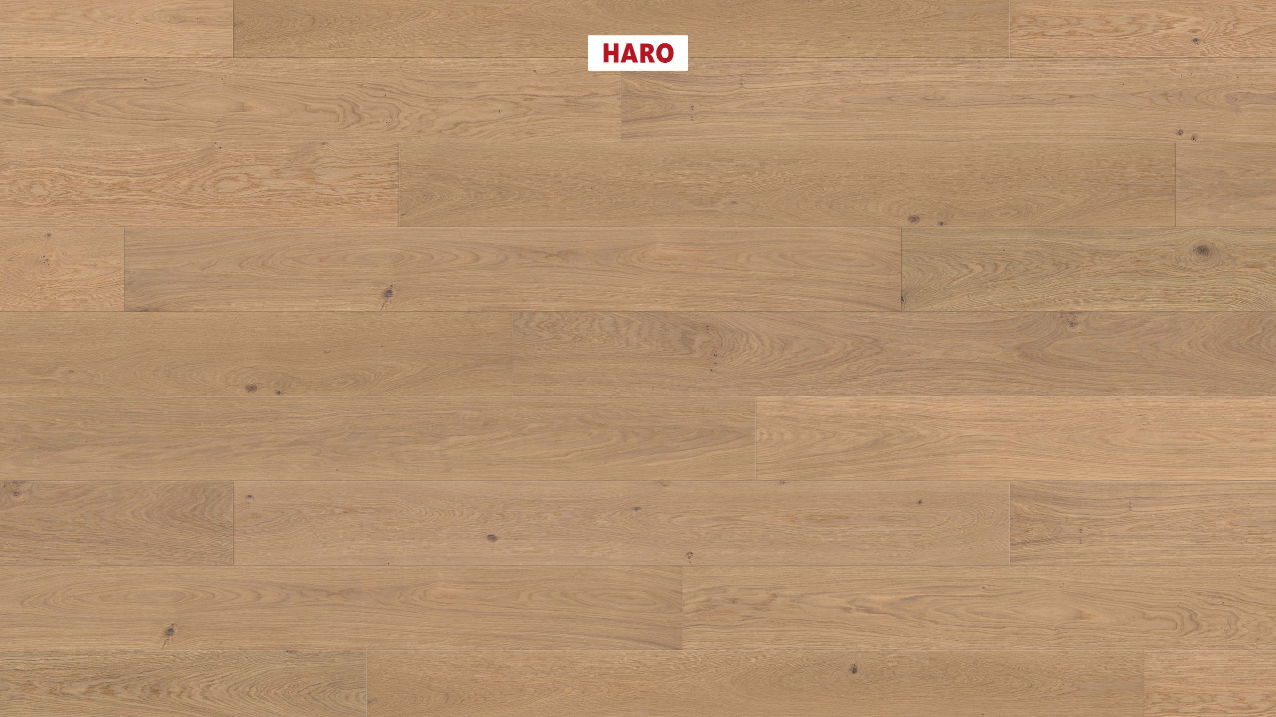 HARO PARQUET 4000 1-lama Plaza 240 4V Roble blanco puro Markant cepillado naturaDur Top Connect