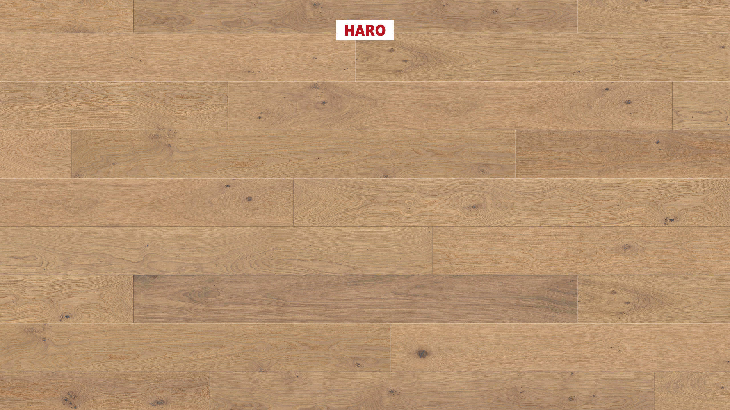 HARO PARQUET 4000 1-lama Plaza 240 4V Roble blanco puro Sauvage cepillado naturaDur Top Connect