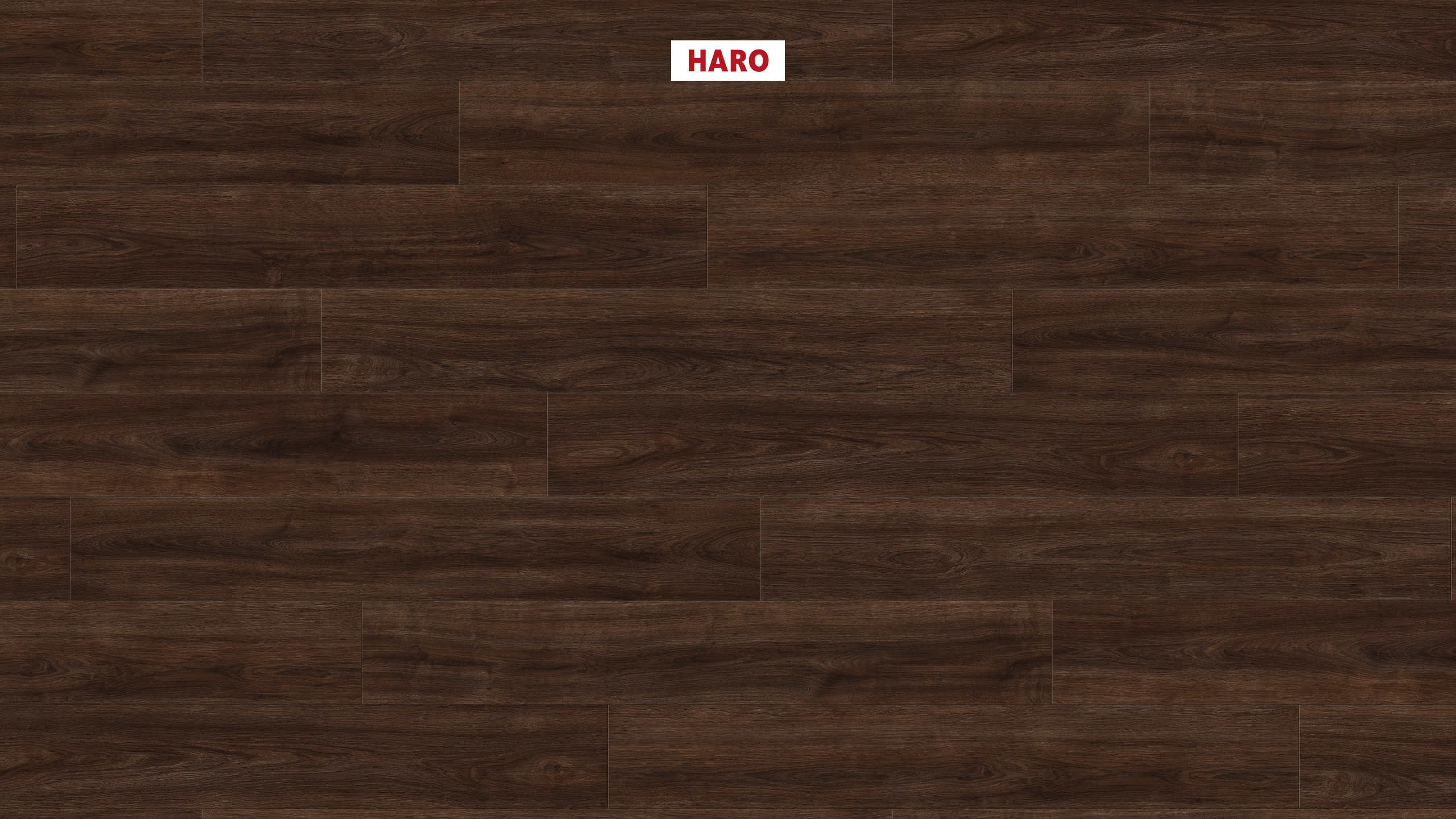 HARO Suelo laminado TRITTY 100 1-lama 4V Roble Eleganza moscada* authentic Top Connect