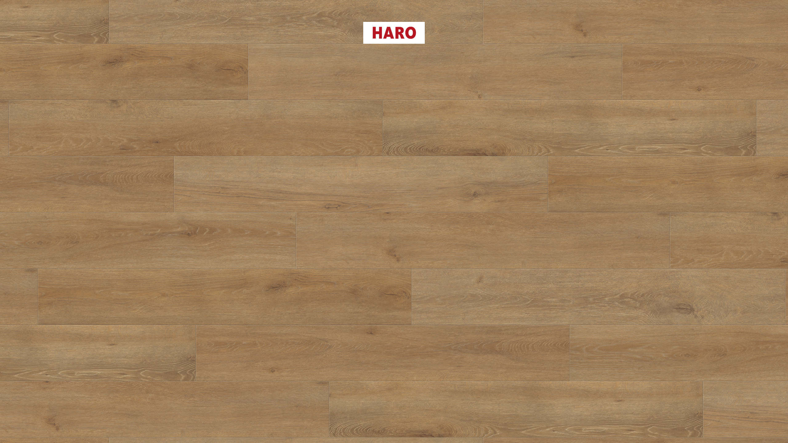 HARO Suelo laminado TRITTY 100 1-lama 4V Roble Veneto natur* authentic mate Silent Pro Top Connect