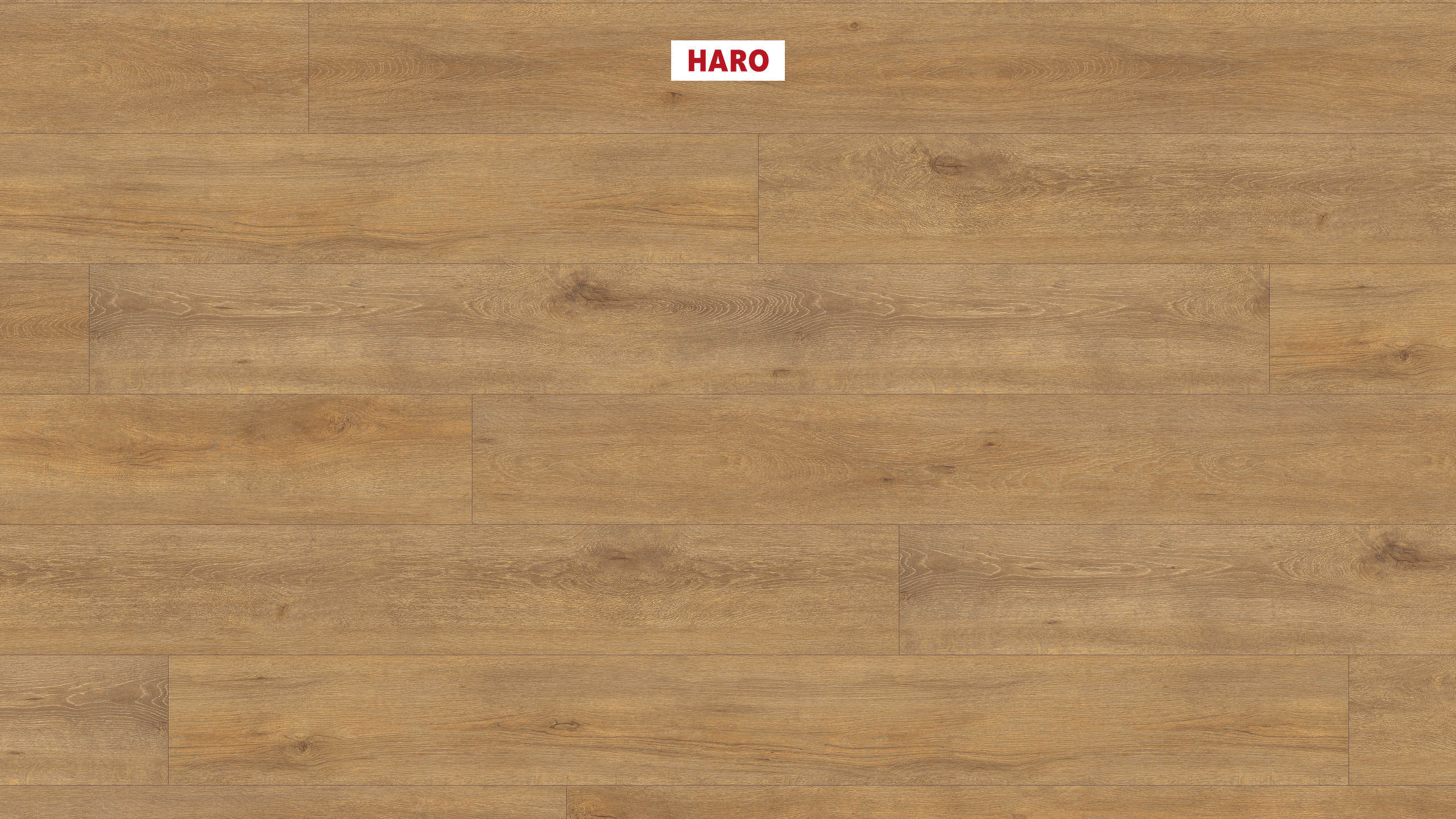 HARO Suelo laminado TRITTY 100 Gran Via 4V Roble Veneto natur* authentic mate Top Connect