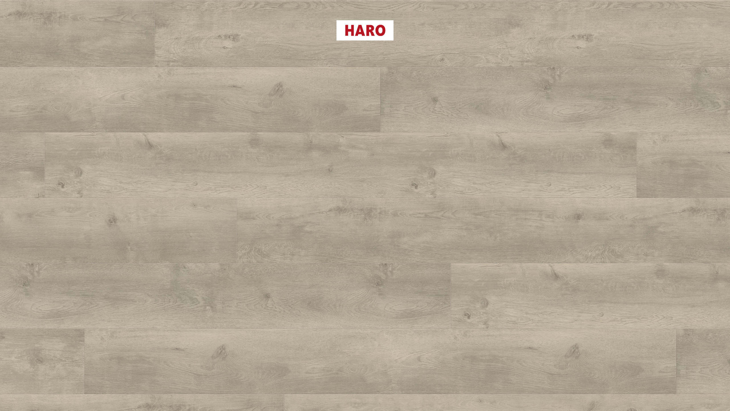 HARO Suelo laminado TRITTY 100 Gran Via 4V Roble Bergamo gris plata* authentic soft Silent CT Top Connect