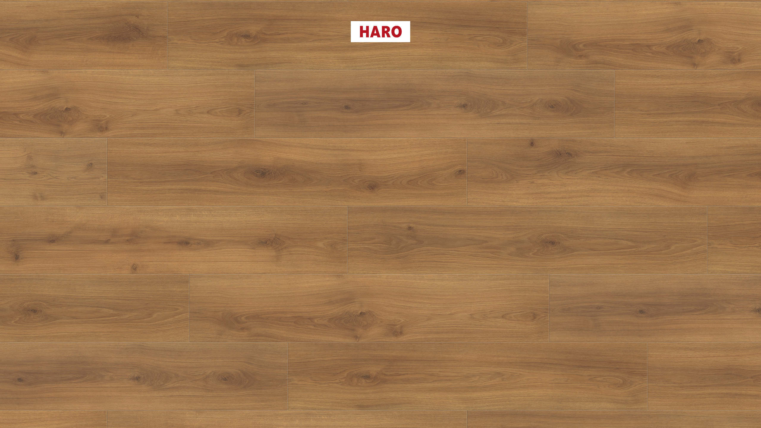 HARO Suelo laminado TRITTY 100 Campus 4V Roble Emilia miel* authentic soft Top Connect