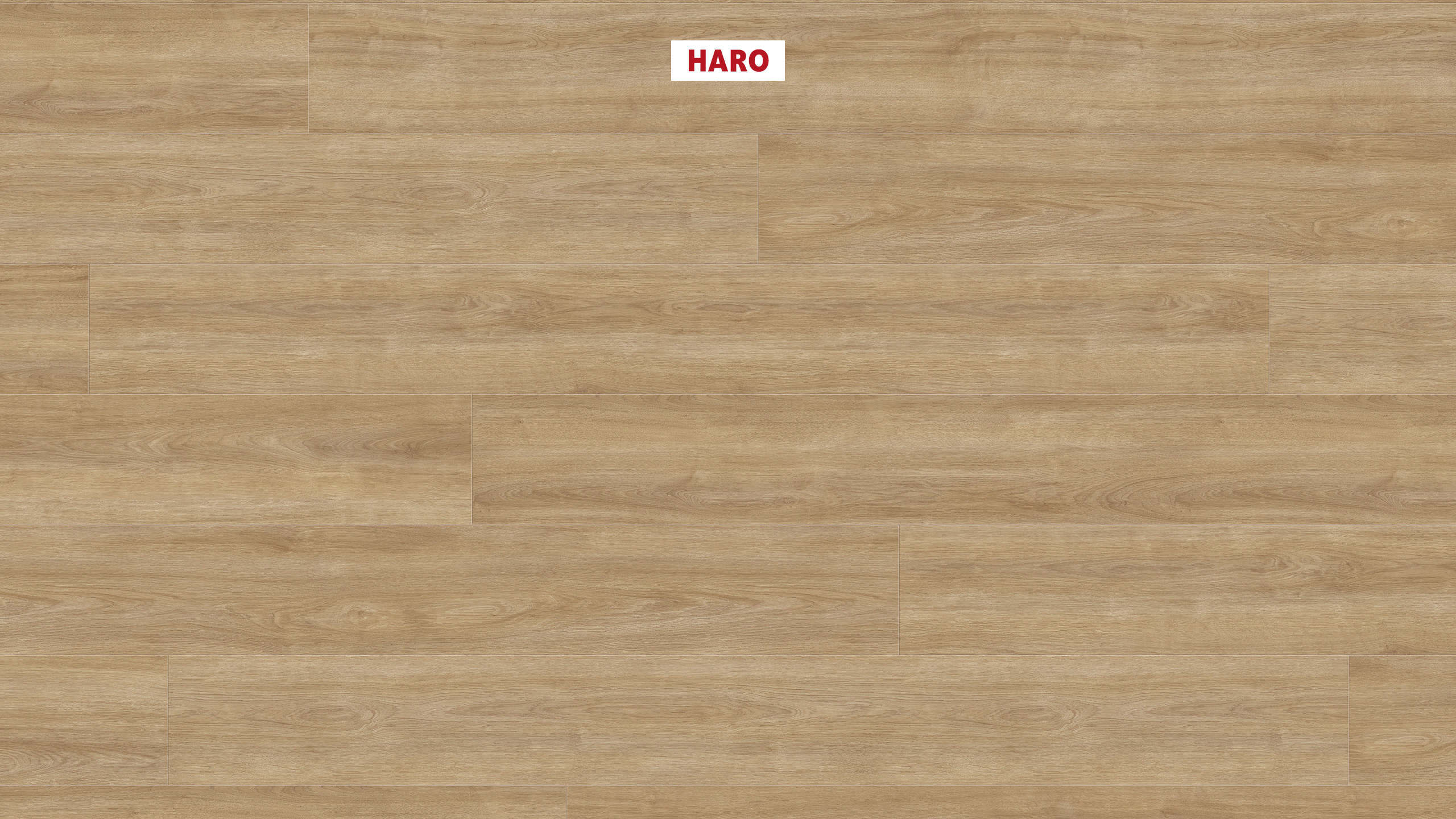 HARO Suelo laminado TRITTY 200 Aqua 1-lama 4V Roble Eleganza puro* authentic Silent Pro Top Connect