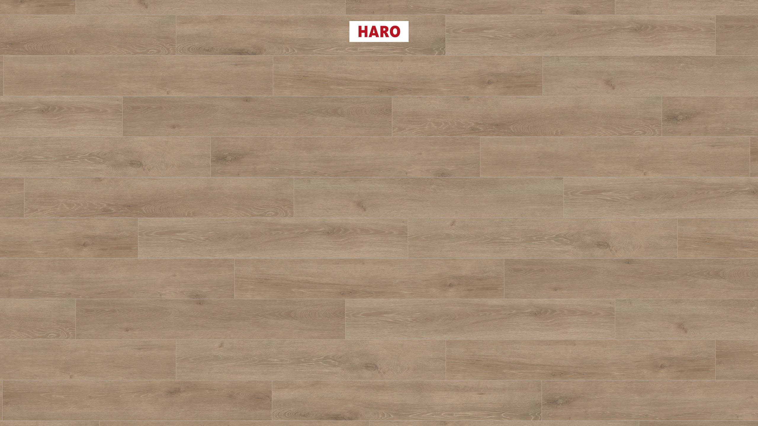 HARO Suelo laminado TRITTY 200 Aqua 1-lama 4V Roble Veneto crema* authentic mate Silent CT Top Connect