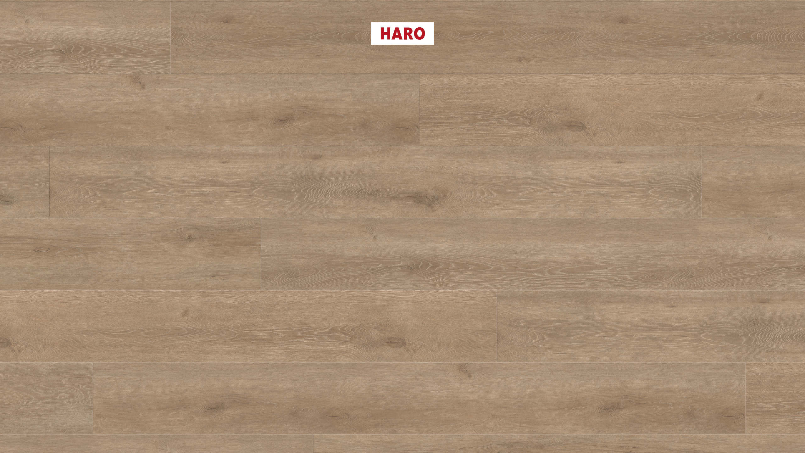 HARO Suelo laminado TRITTY 200 Aqua Gran Via 4V Roble Veneto crema* authentic mate Top Connect