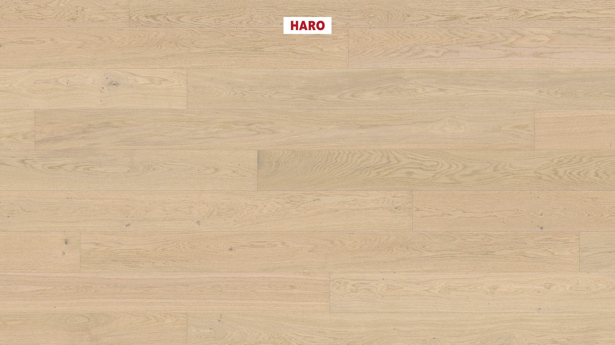 HARO PARQUET 4000 1-lama 180 4V Roble blanco luz Markant cepillado naturaLin plus Top Connect