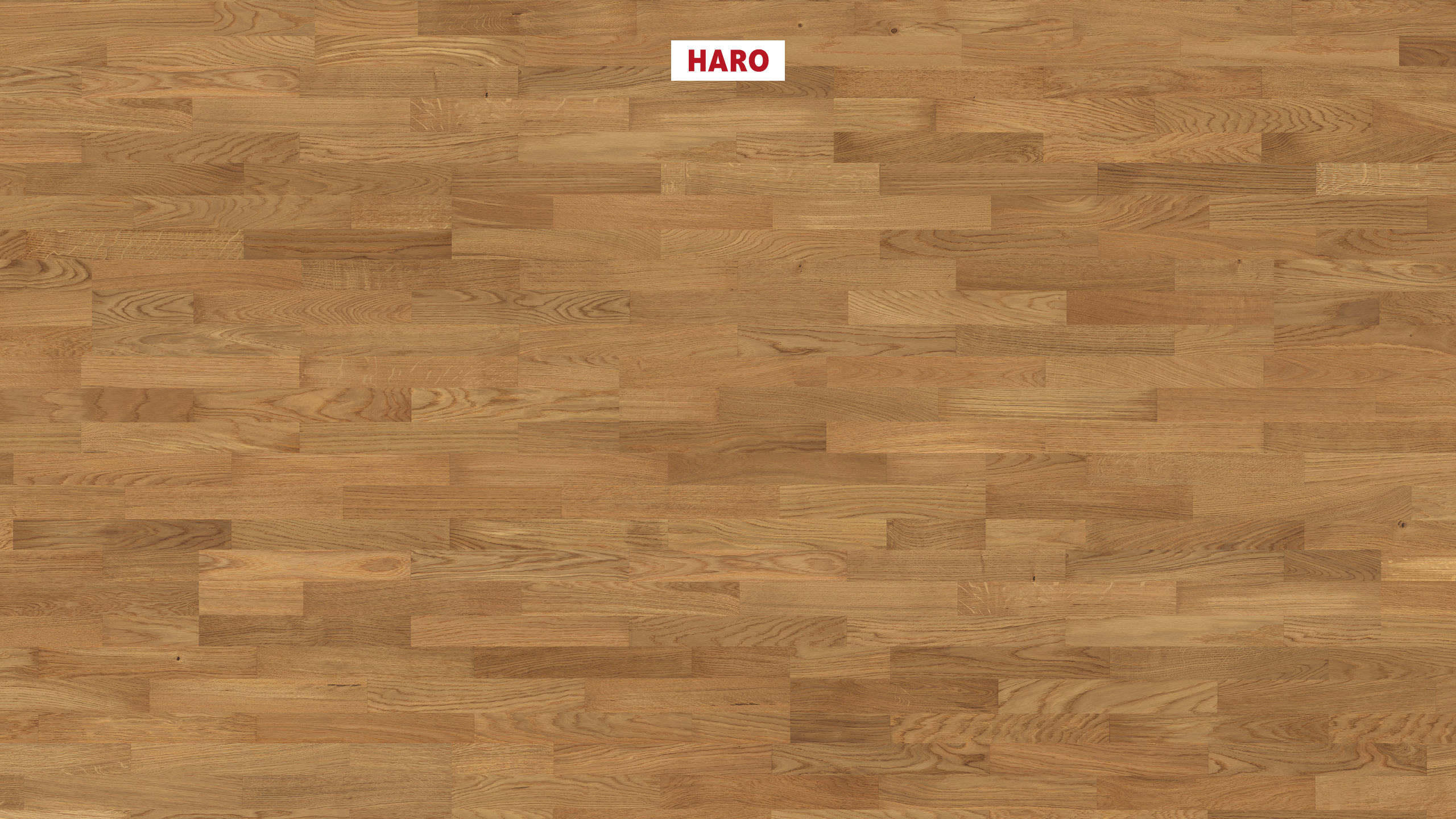 HARO PARQUET 4000 3-lamas Roble Naturale cepillado naturaDur Top Connect