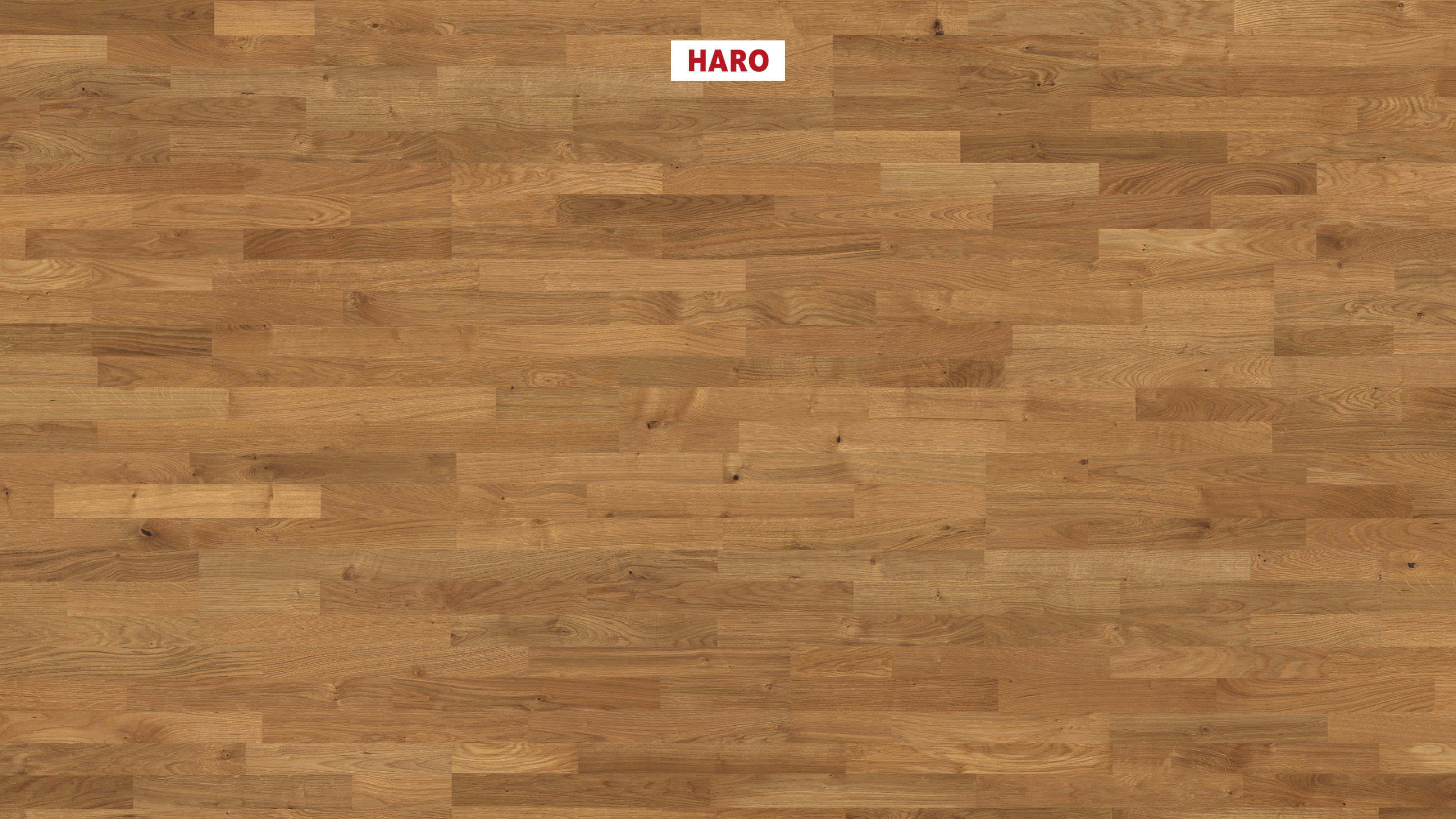 HARO PARQUET 4000 3-lamas Roble Naturale cepillado naturaLin plus Top Connect