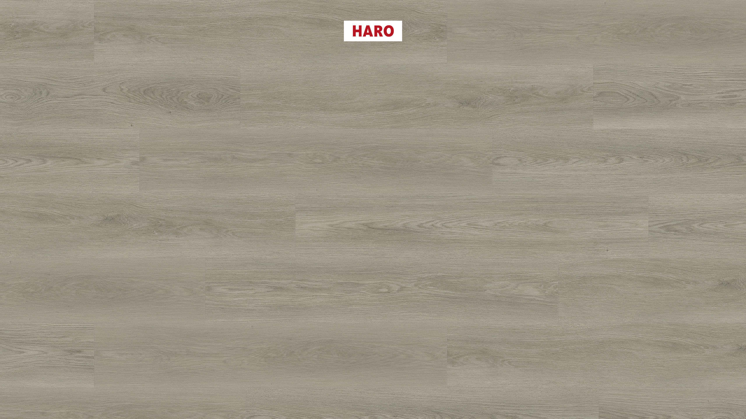 DISANO by HARO Saphir 1-lama 4VM Roble Picardie gris* authentic Top Connect