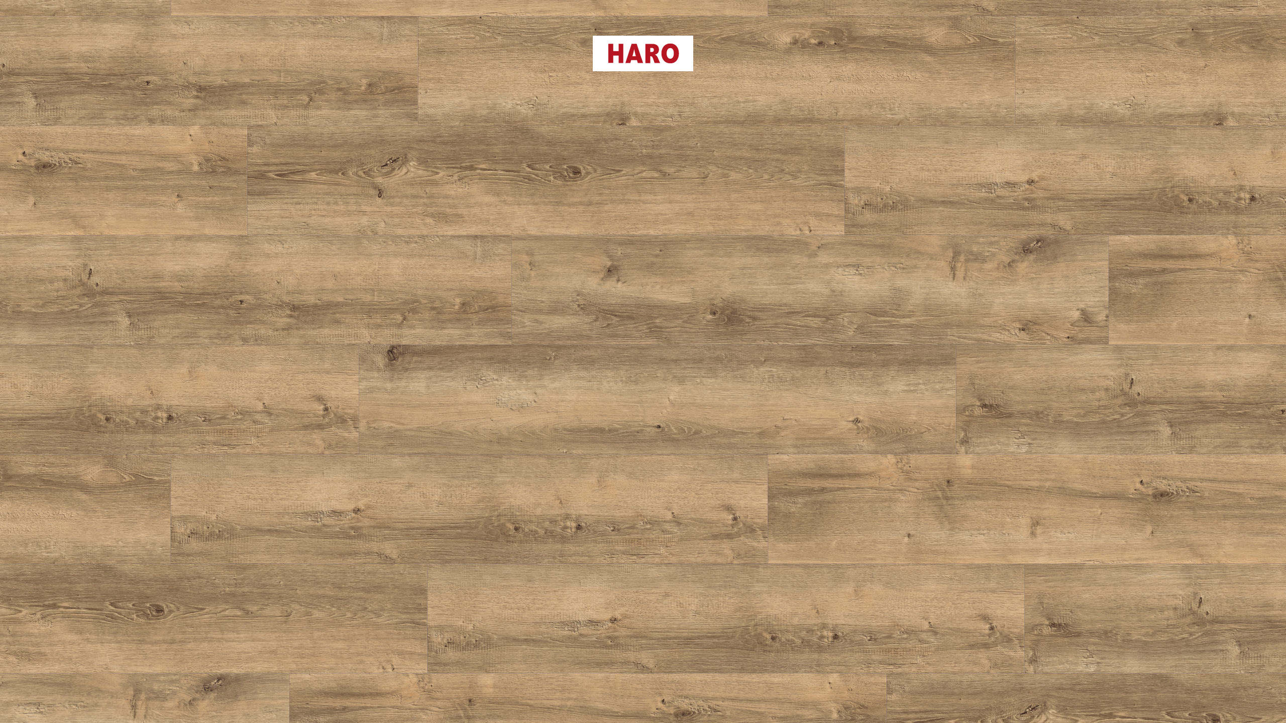 DISANO by HARO LifeAqua 1-lama 4V Roble Yorkshire puro* cepillado Top Connect