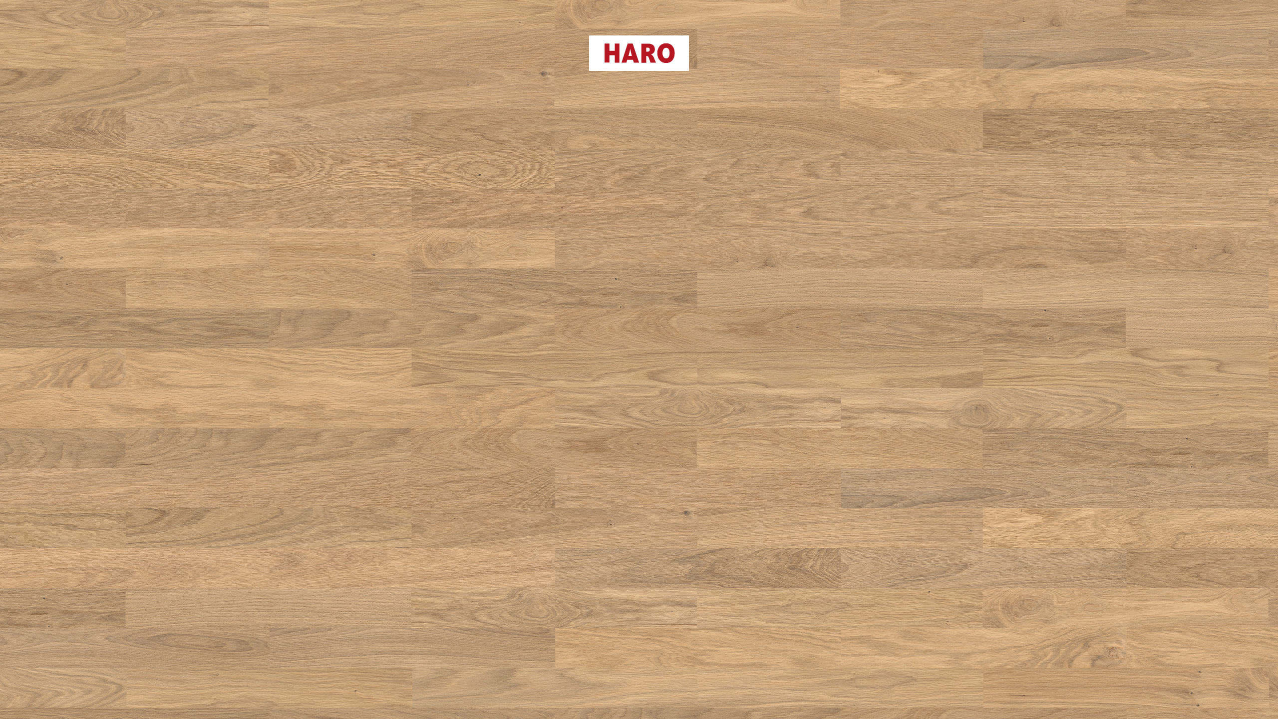 HARO PARQUET 4000 Lama Allegro Roble blanco luz Naturale cepillado naturaDur Ranura & lengüeta