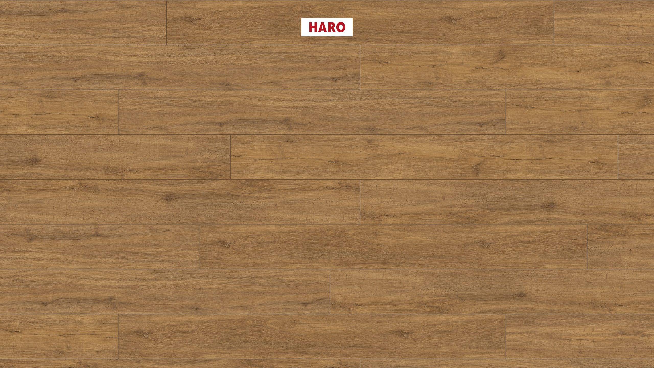 DISANO by HARO ClassicAqua 1-lama XL 4V Roble de montaña* cepillado Top Connect