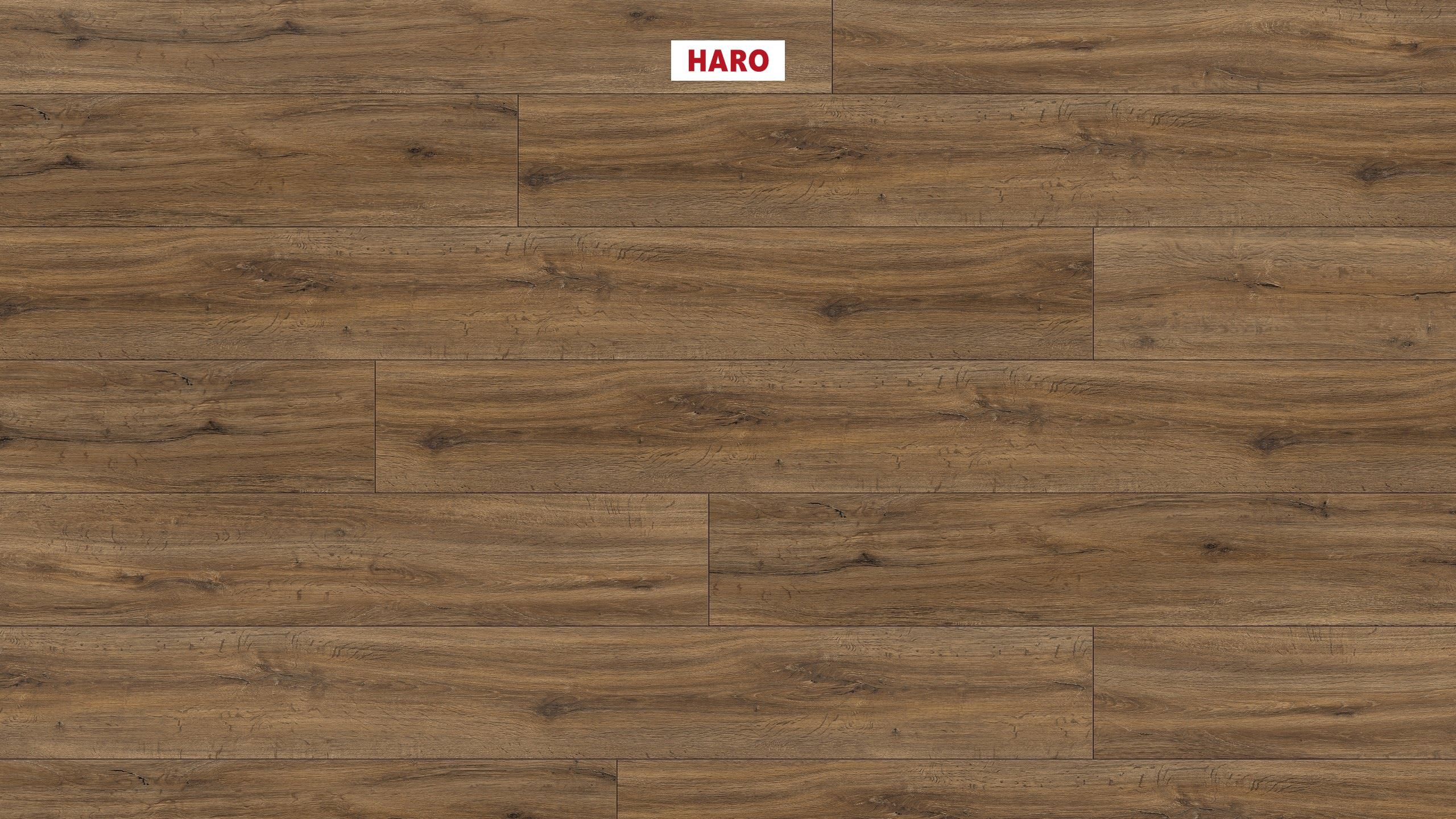 DISANO by HARO ClassicAqua 1-lama XL 4V Roble silvestre* cepillado Top Connect